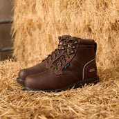 Ariat Outdoorschoenen Groundbreaker Lace Steel Toe Waterproof Heren Donkerbruin