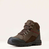 Ariat Outdoorschoenen Skyline Mid Waterproof Heren Chocolate Brown
