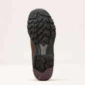 Ariat Outdoorschoenen Skyline Mid Waterproof Heren Chocolate Brown