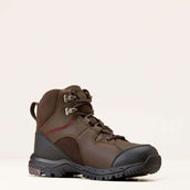 Ariat Outdoorschoenen Skyline Mid Waterproof Dames Chocolate Brown