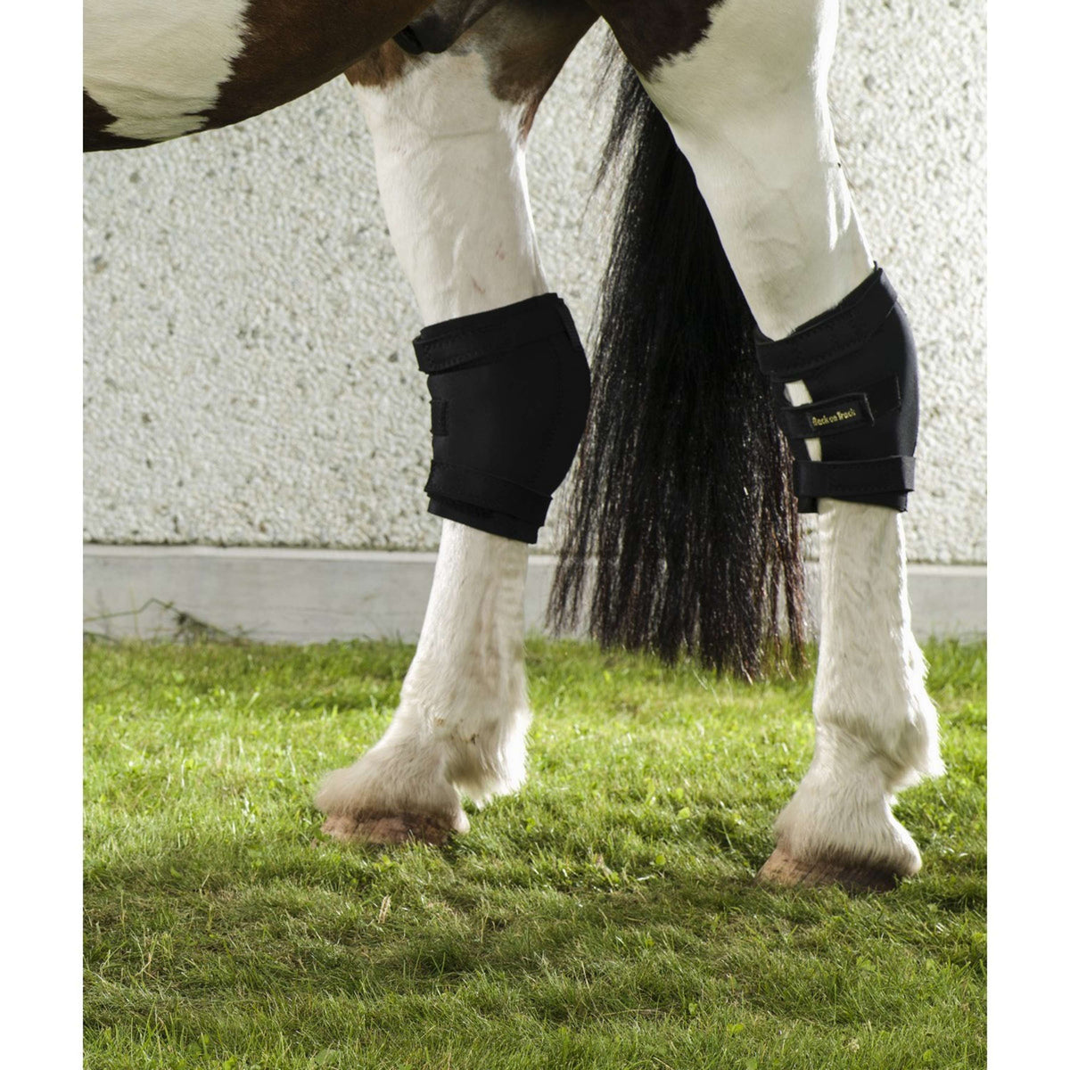 Back on Track Hakbeschermer Spronggewricht Rechts Zwart