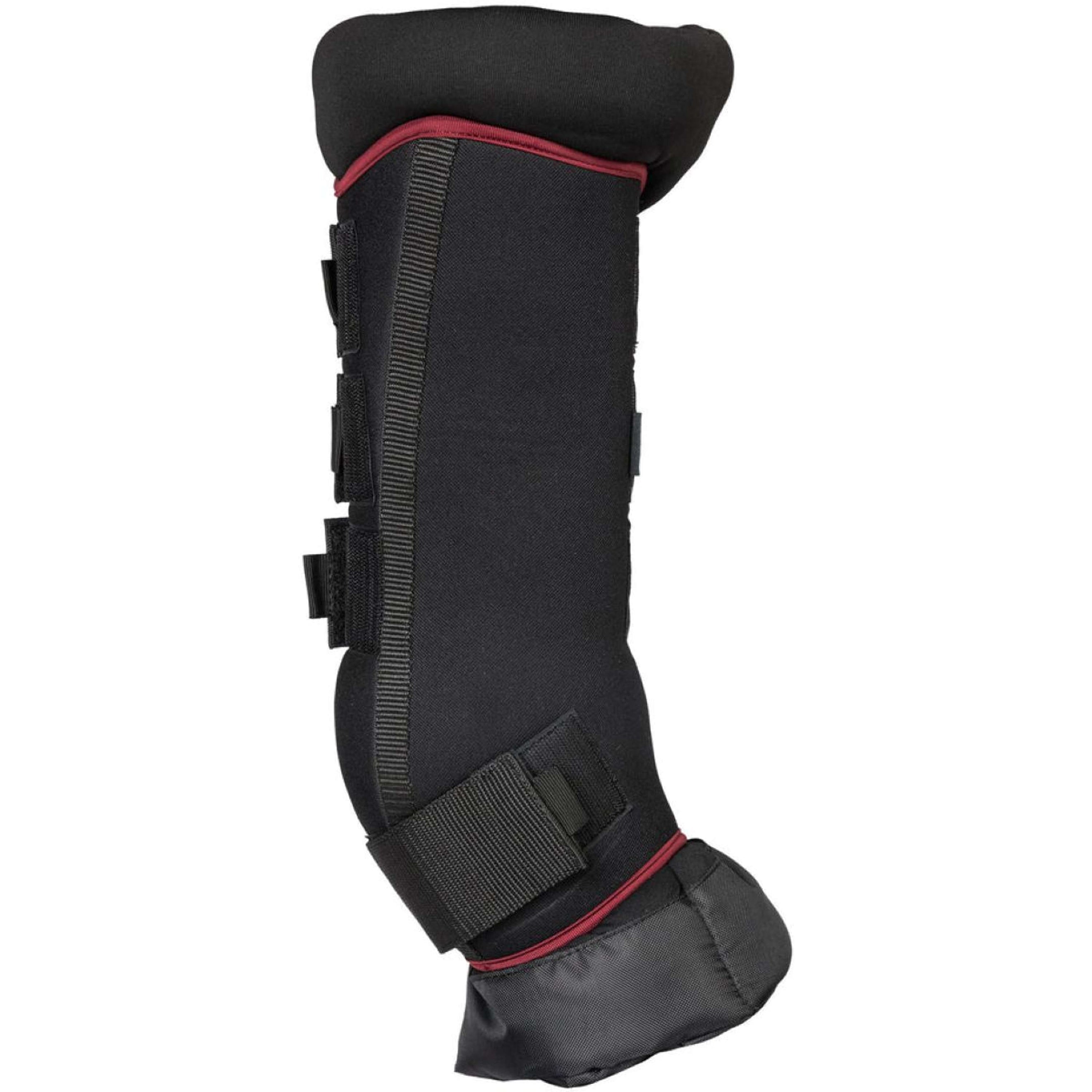 Back on Track Stalbeschermer Royal Deluxe Wijnrood Back on Track Stalbeschermer Royal Deluxe Wijnrood