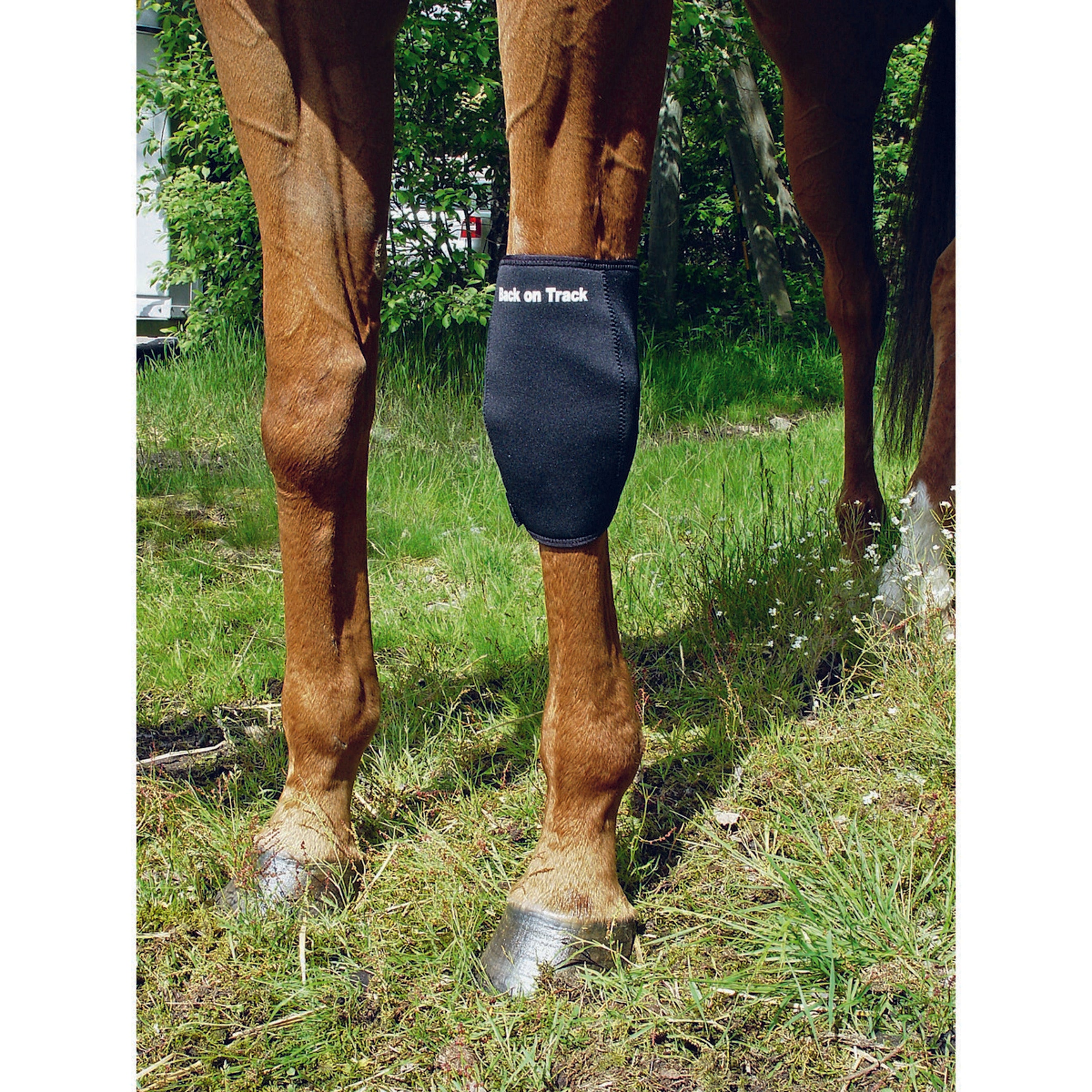 Back on Track Kniebeschermer Links Zwart Back on Track Kniebeschermer Links Zwart