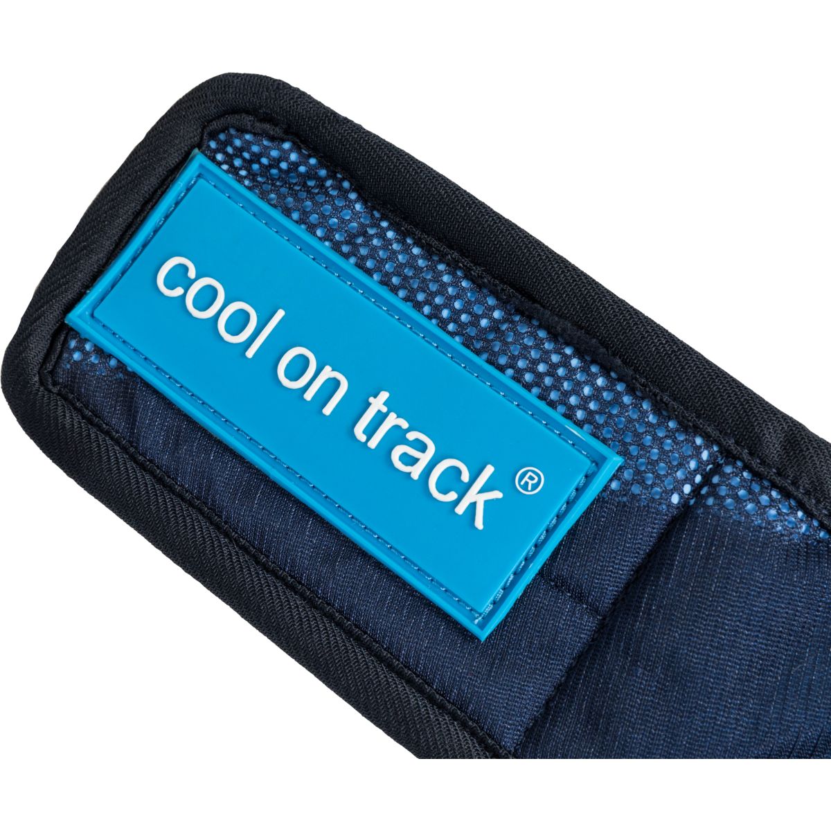 Back on Track Cooling Bandana Blauw