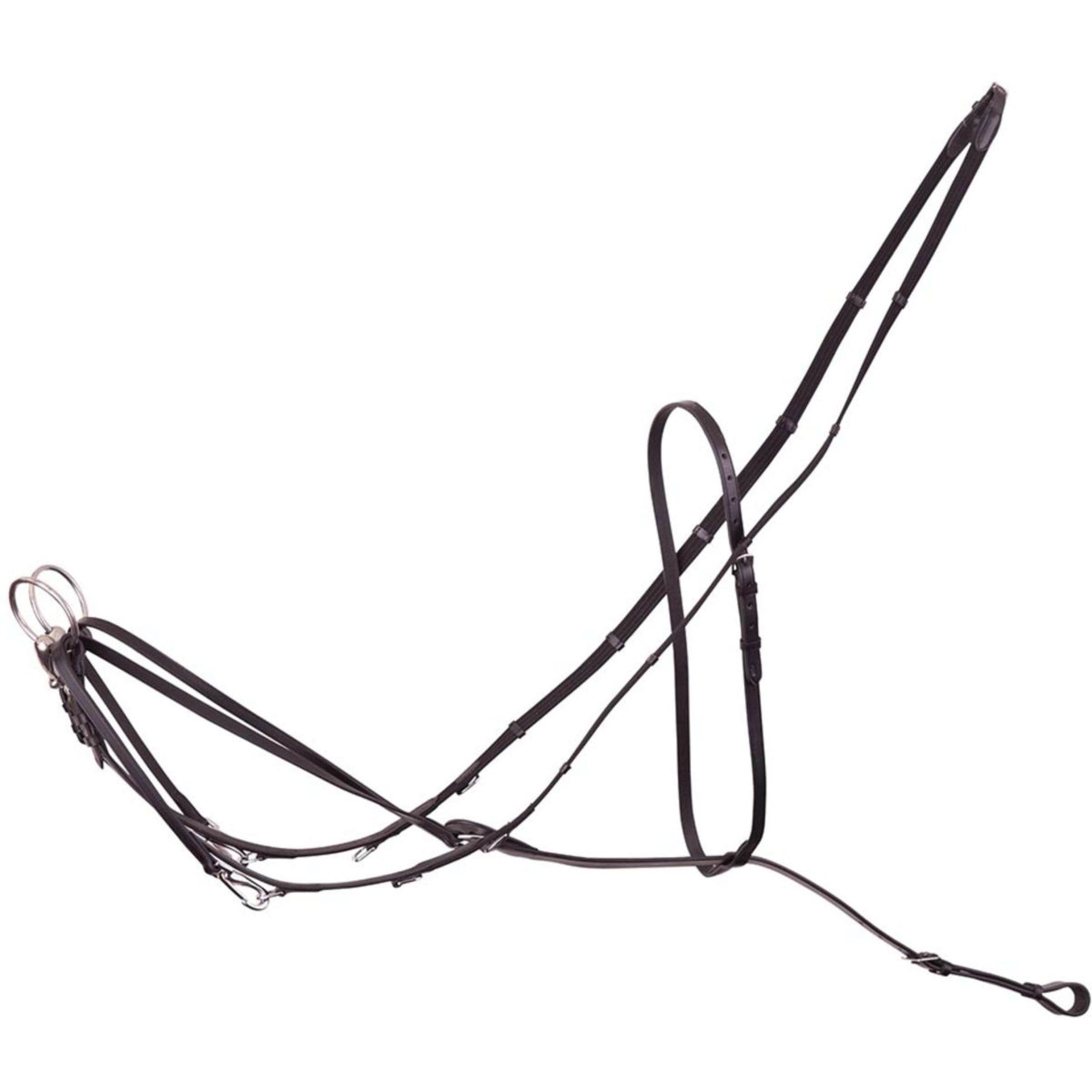 Premiere Thiedeman Teugel met Martingaal Zwart Premiere Thiedeman Teugel met Martingaal Zwart