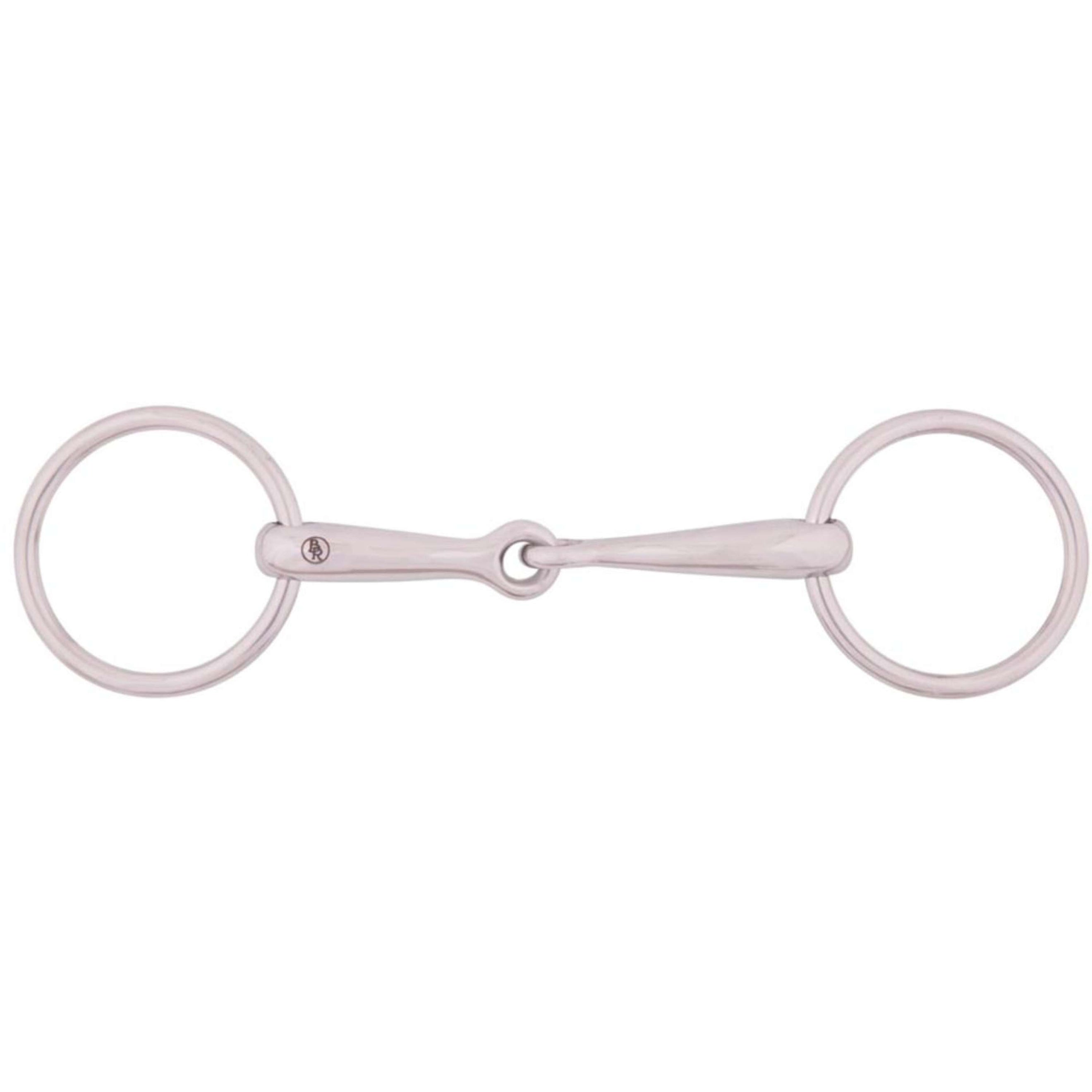 BR Watertrens Pony Massief 14mm RVS