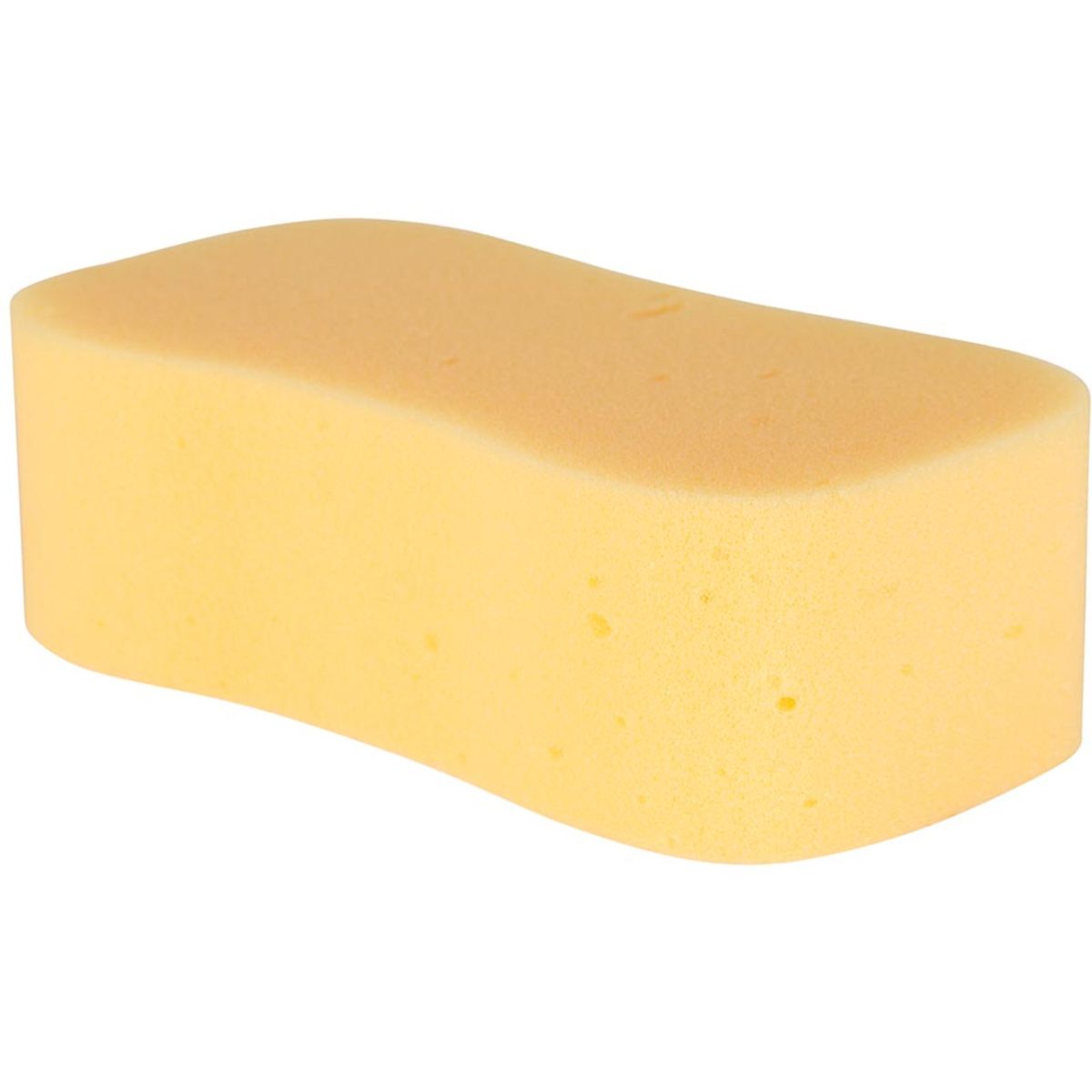 Carr & Day & Martin Spons Horse Care Sponge Oranje