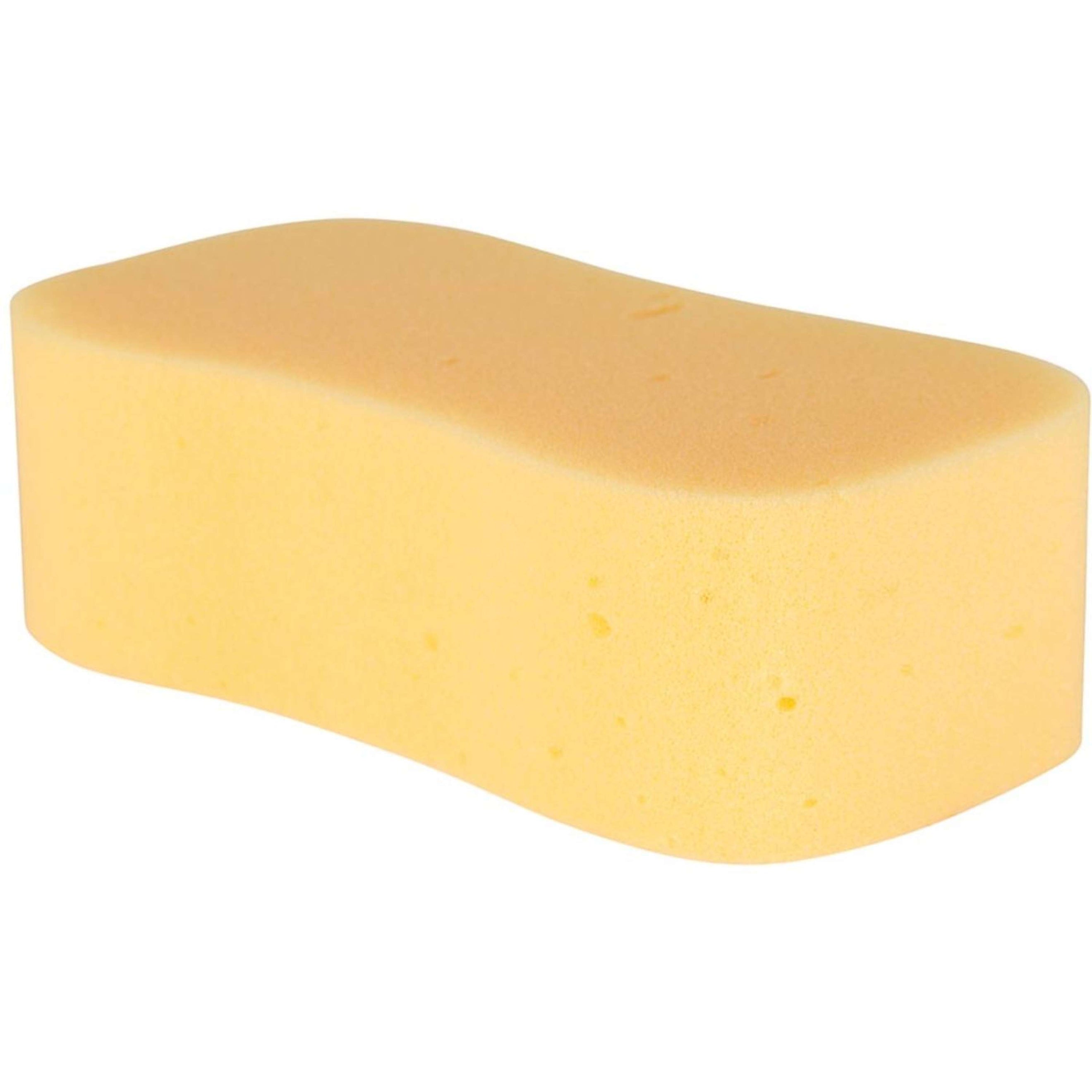 Carr & Day & Martin Spons Horse Care Sponge Oranje Carr & Day & Martin Spons Horse Care Sponge Oranje