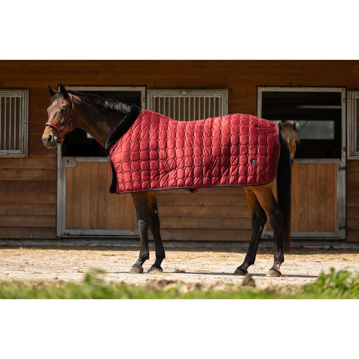 BR Showdeken CLX Cabernet