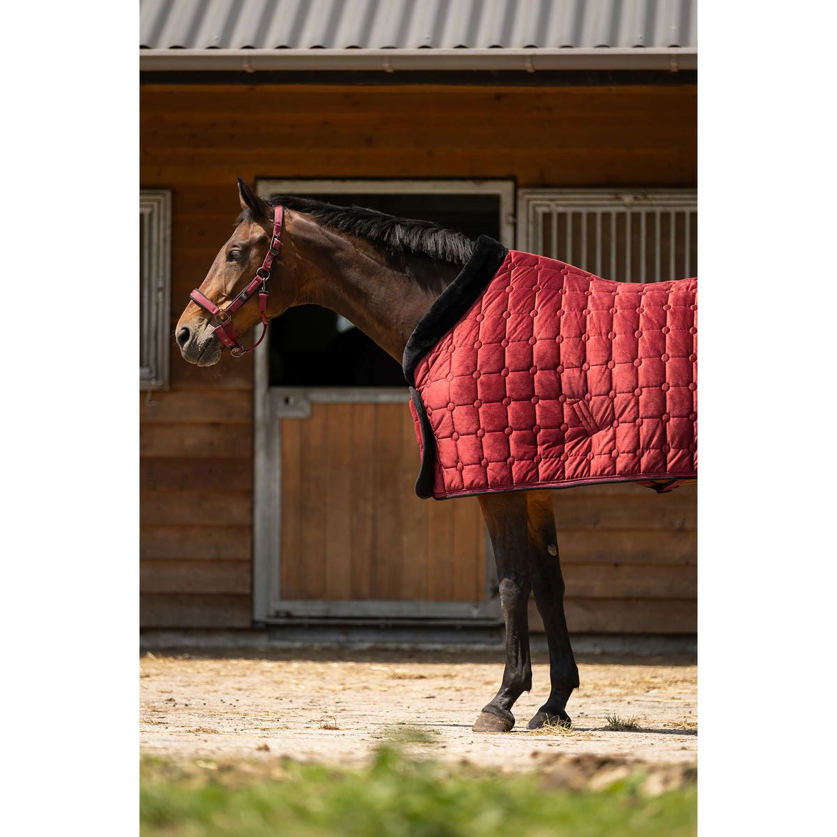 BR Showdeken CLX Cabernet