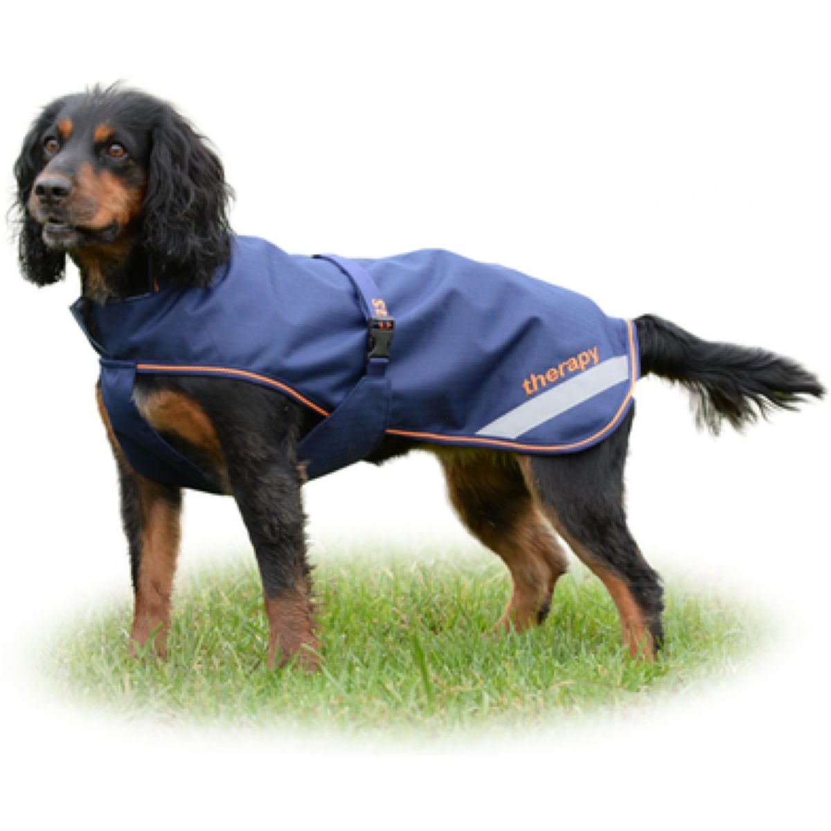 Bucas Therapy Dog Rug 300g Navy/Orange