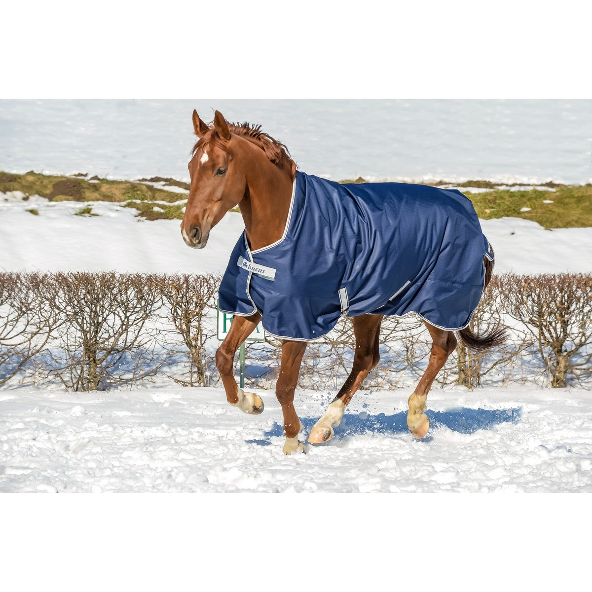 Bucas Freedom Turnout High Neck 150g Navy/Silver