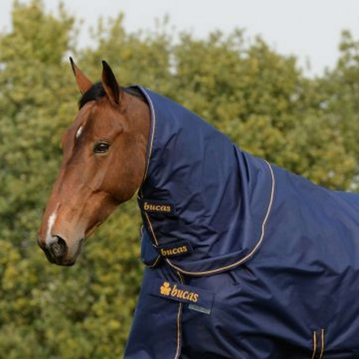 Bucas Halsstuk Irish Turnout Combi Neck 300g Navy/Gold