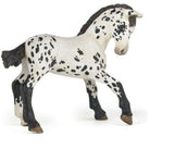 Papo Veulen Black Appaloosa