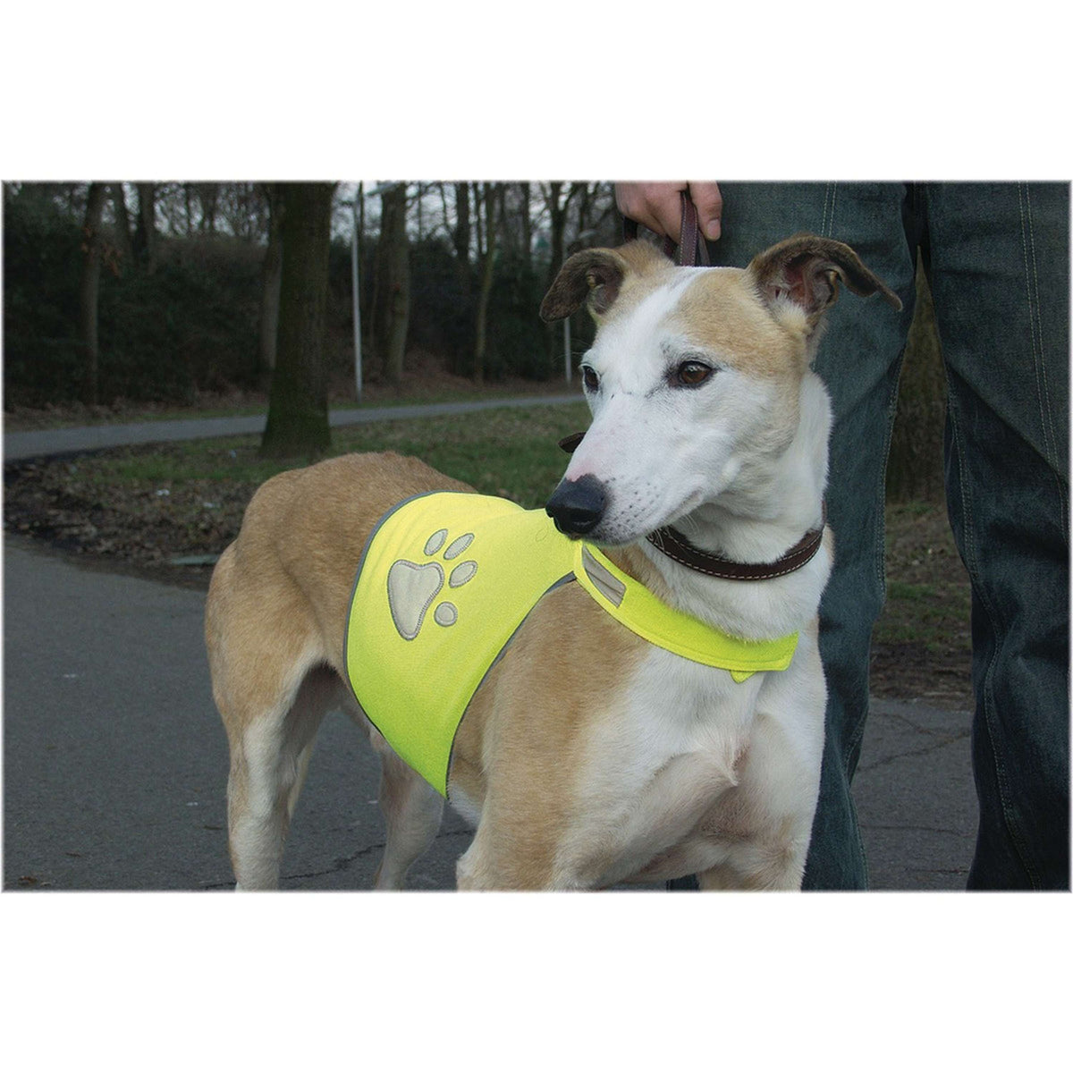 Beeztees Veiligheidsvest Hond Reflecterend Geel