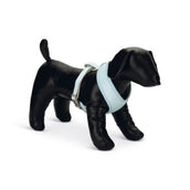 Beeztees Borsttuig Harno Puppy Blauw