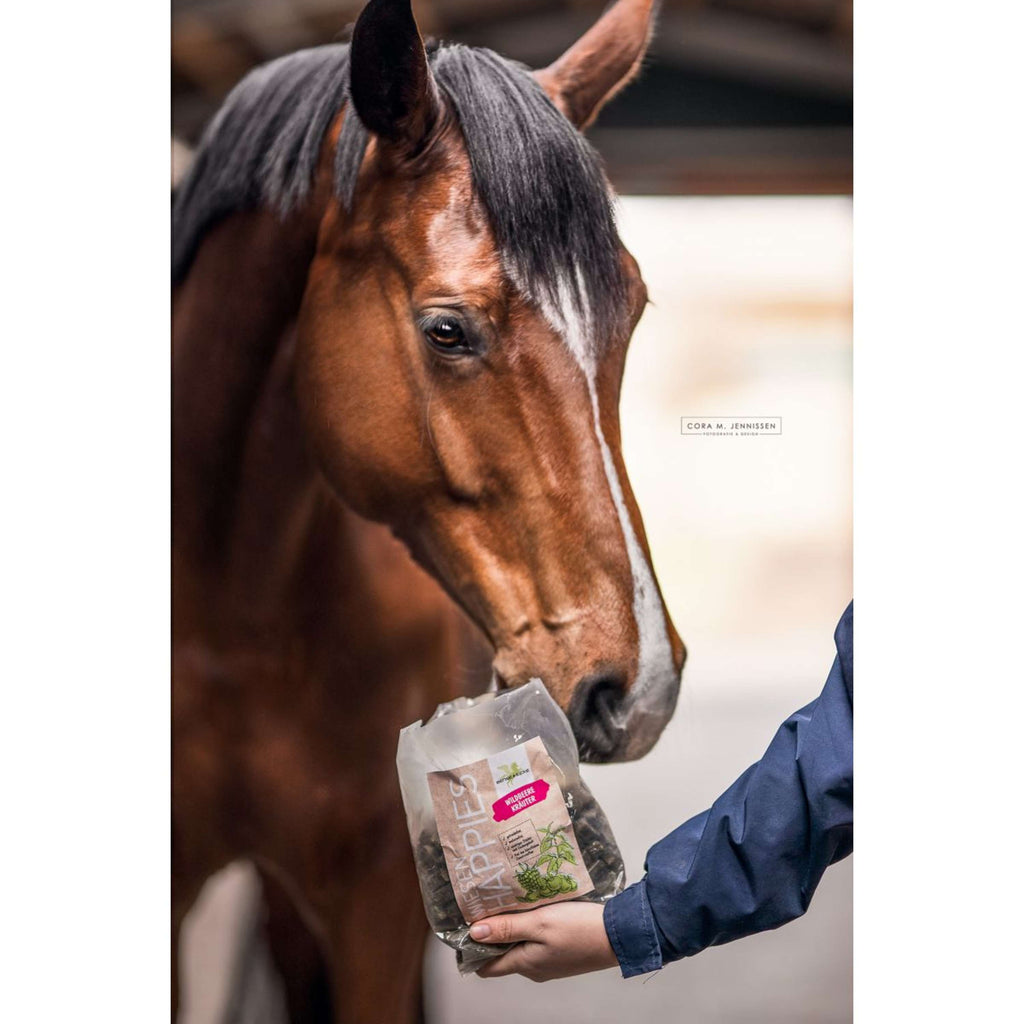 Bense & Eicke Paardensnoepjes Wiesen Happies Wilde Bes Kruiden