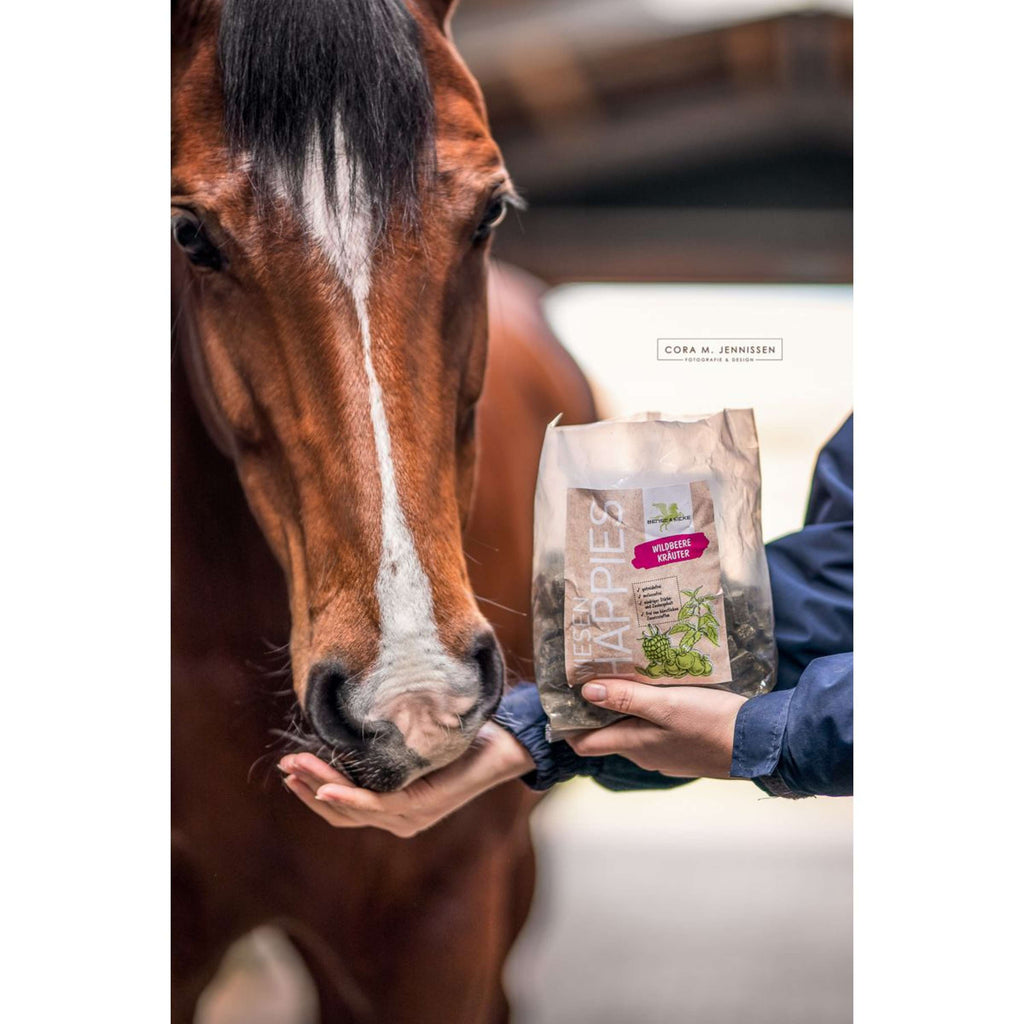 Bense & Eicke Paardensnoepjes Wiesen Happies Wilde Bes Kruiden