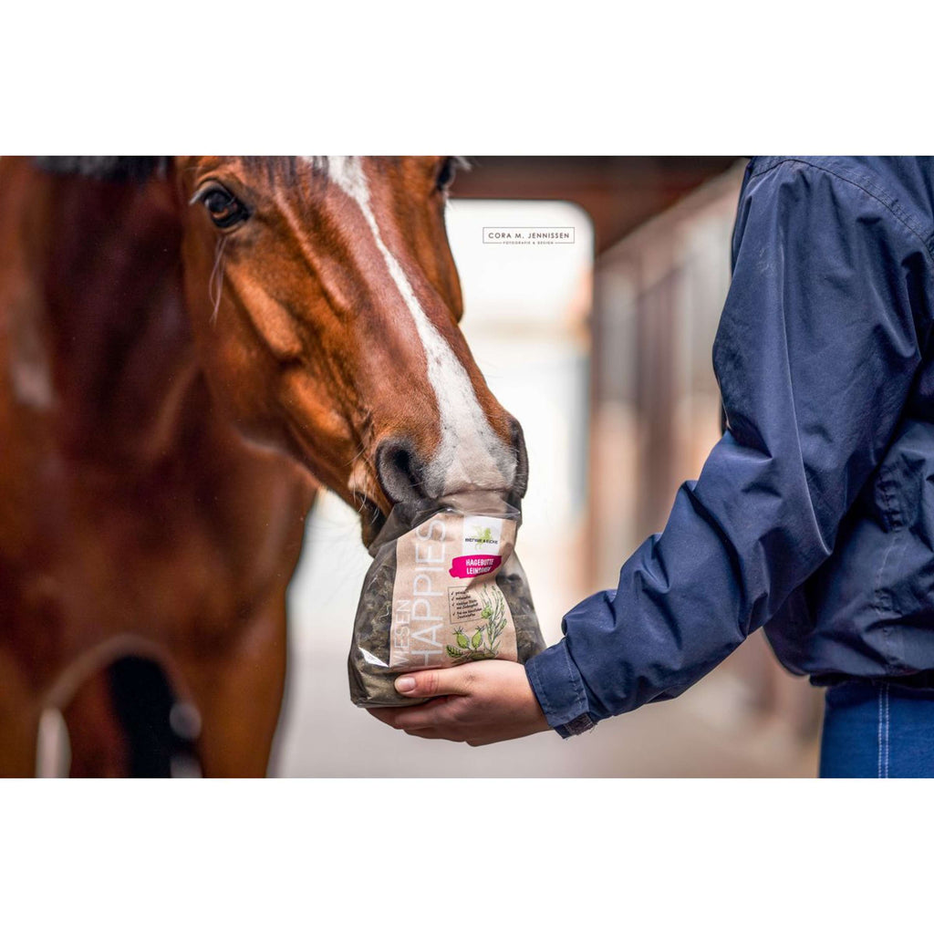 Bense & Eicke Paardensnoepjes Wiesen Happies Rozenbottel Lijnzaad