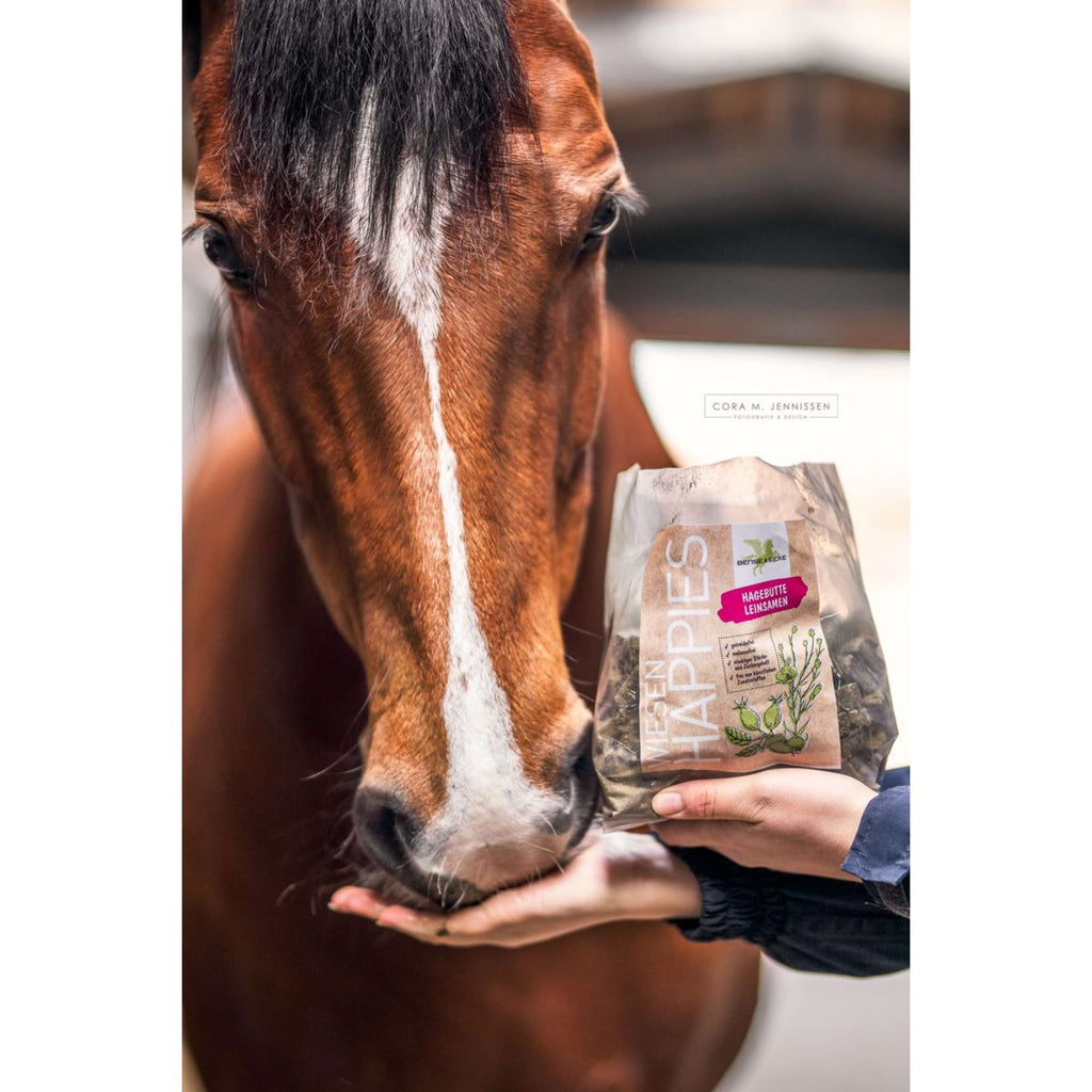 Bense & Eicke Paardensnoepjes Wiesen Happies Rozenbottel Lijnzaad