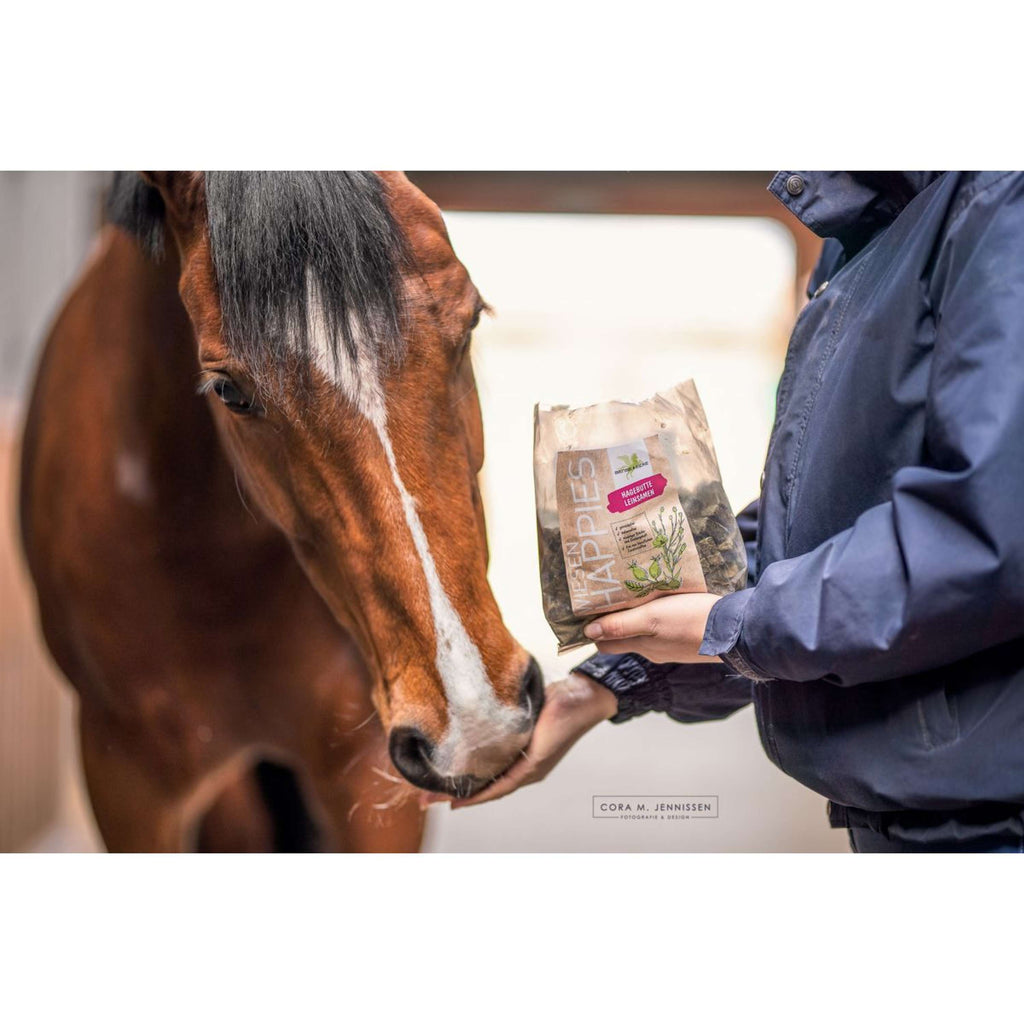 Bense & Eicke Paardensnoepjes Wiesen Happies Rozenbottel Lijnzaad
