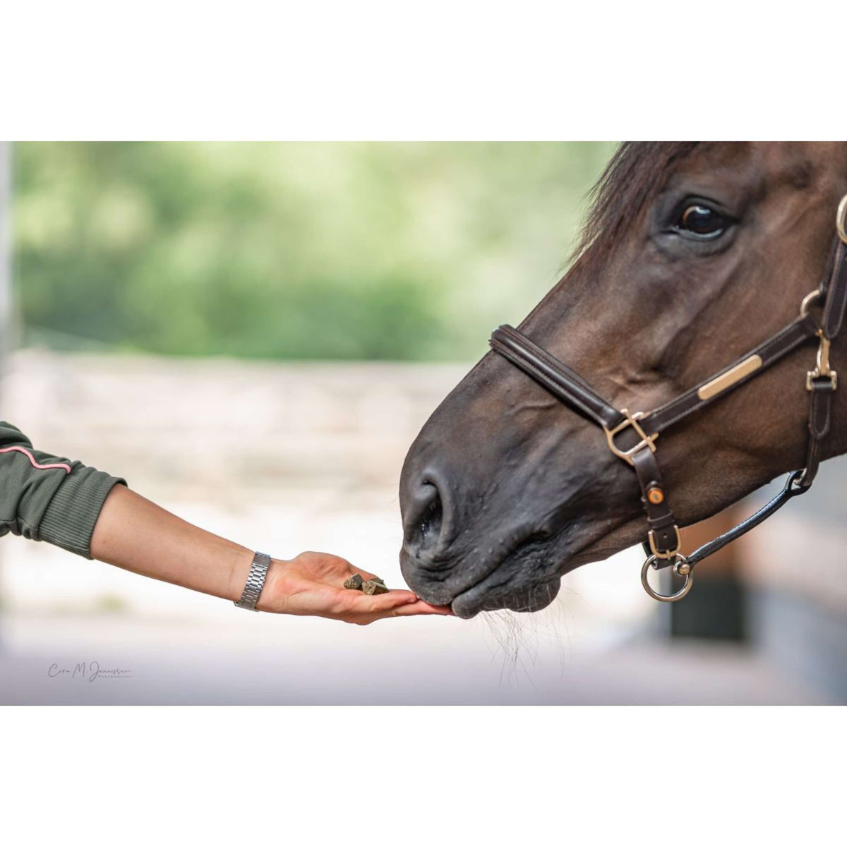 Bense & Eicke Paardensnoepjes Wiesen Happies Wilde Bes Kruiden