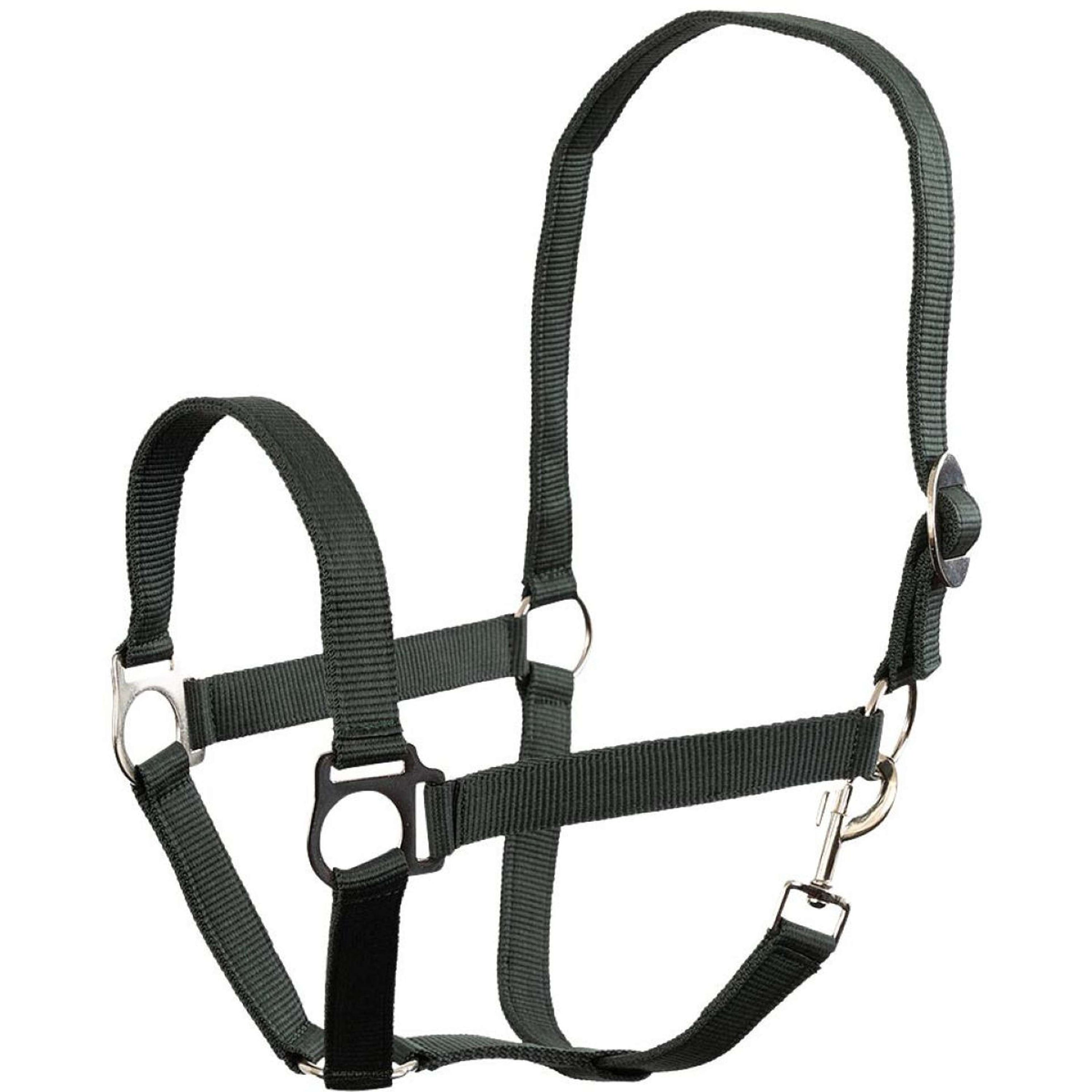 Premiere Halster Soft Economic Green Gables Premiere Halster Soft Economic Green Gables