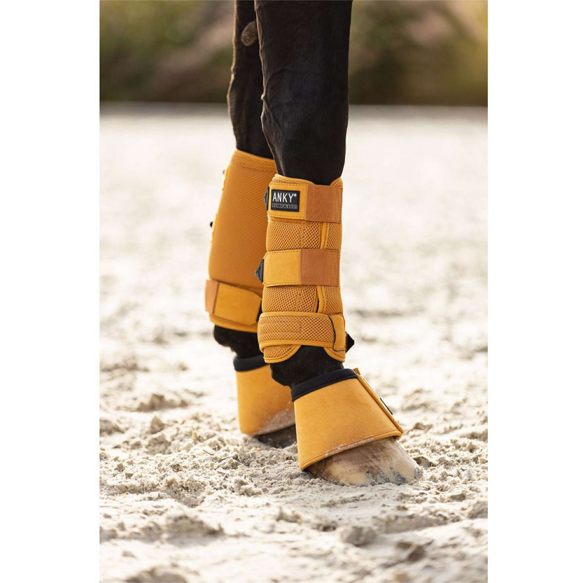 ANKY Springschoenen ATB242008 Spruce Yellow