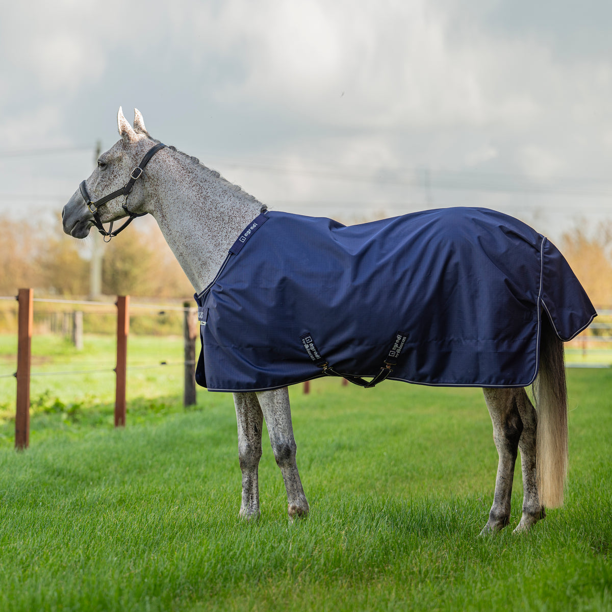 Agradi by Bucas Turnout Rug 100g Navy/Zilver