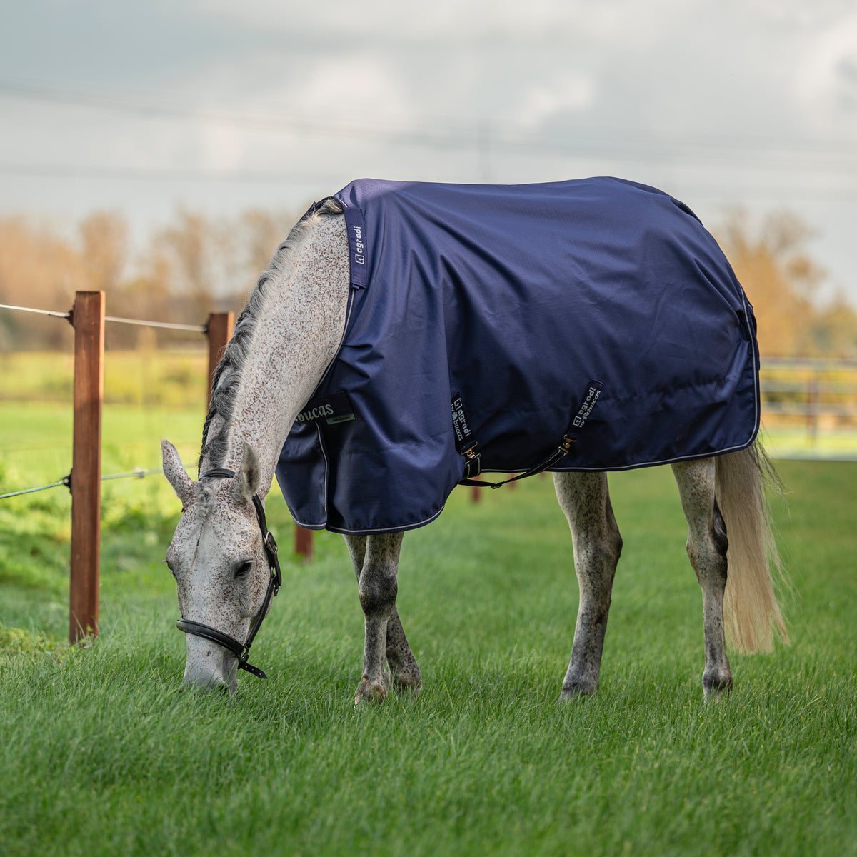 Agradi by Bucas Turnout Rug 100g Navy/Zilver