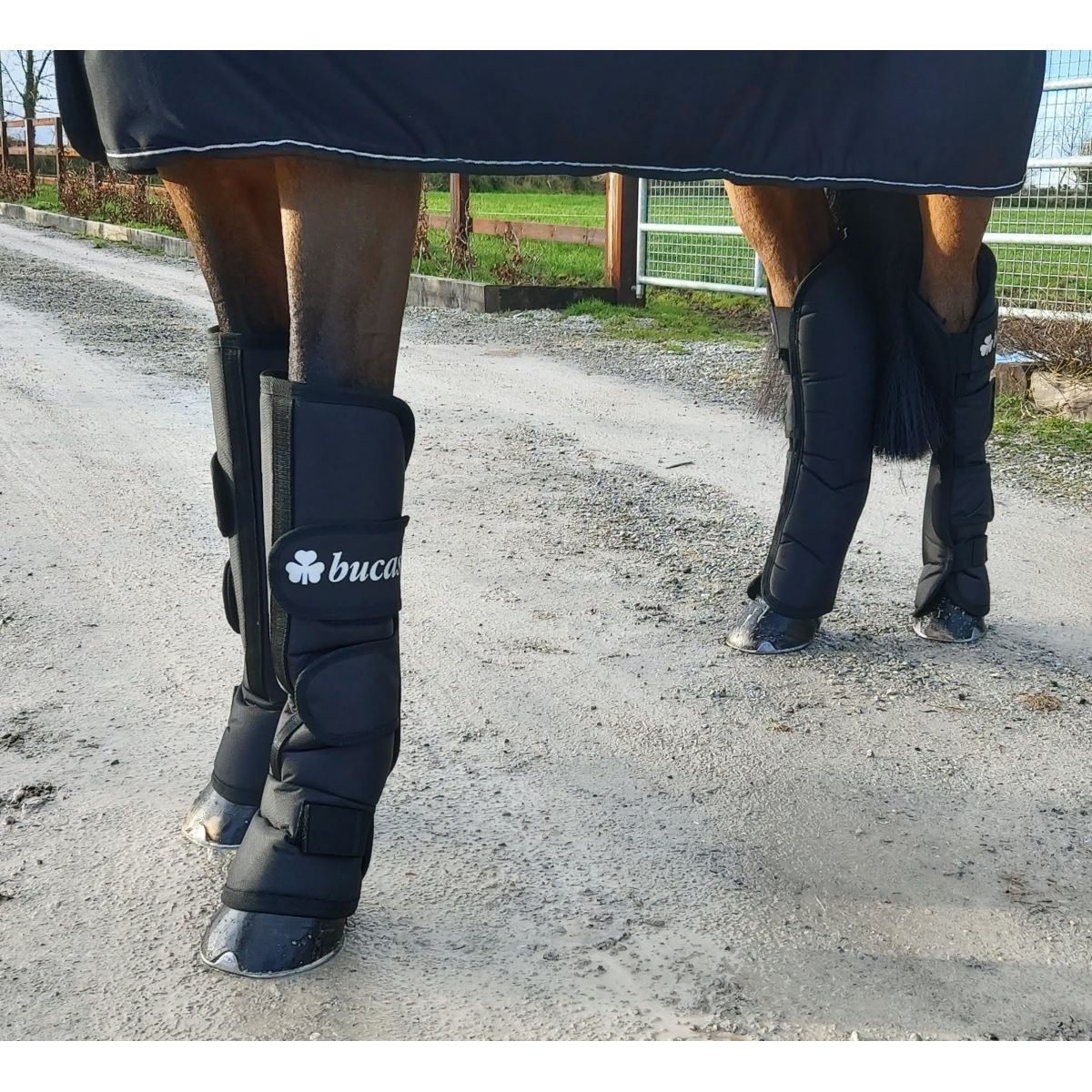 Bucas Transportbeschermers Boots 2020 Zwart