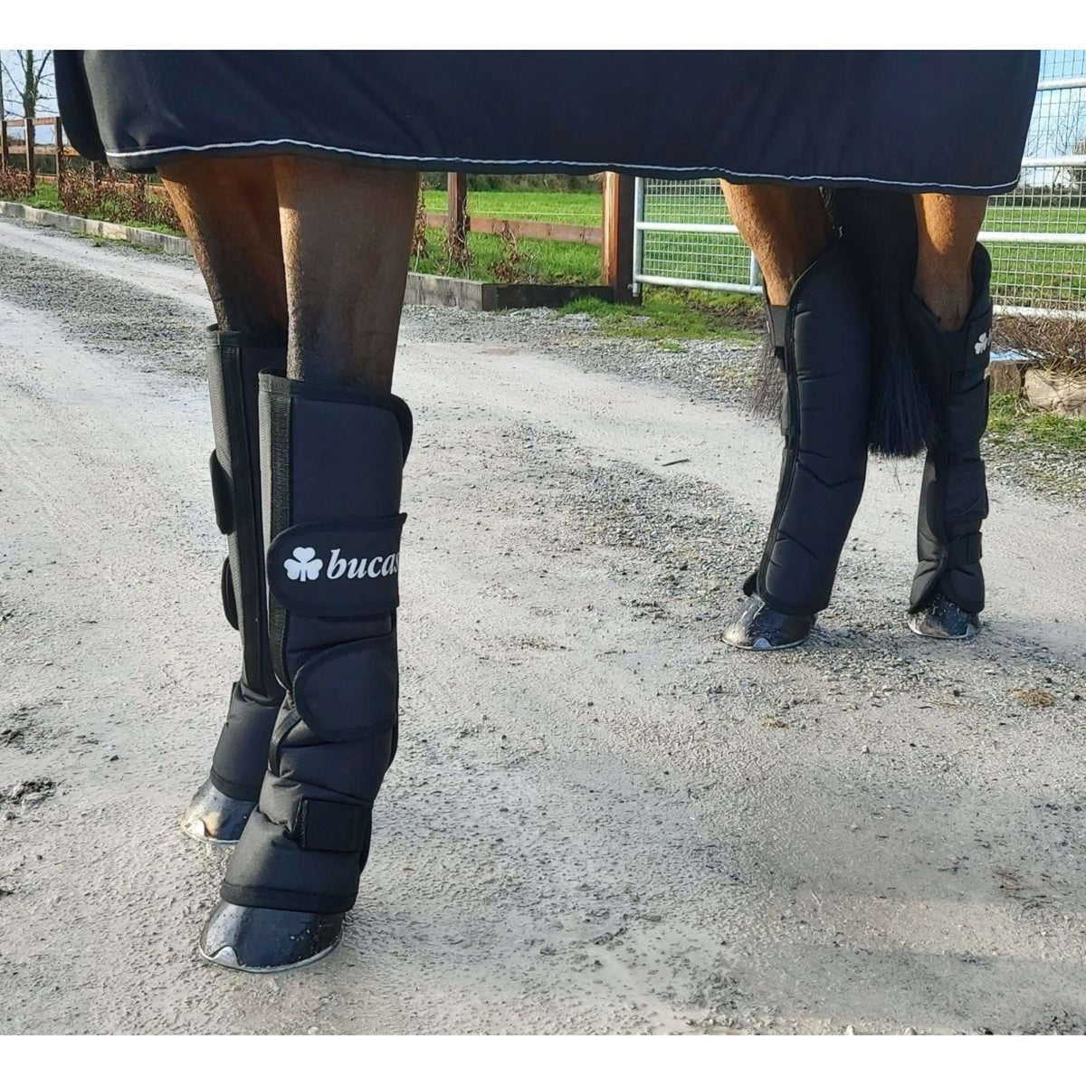 Bucas Transportbeschermers Boots 2020 Navy