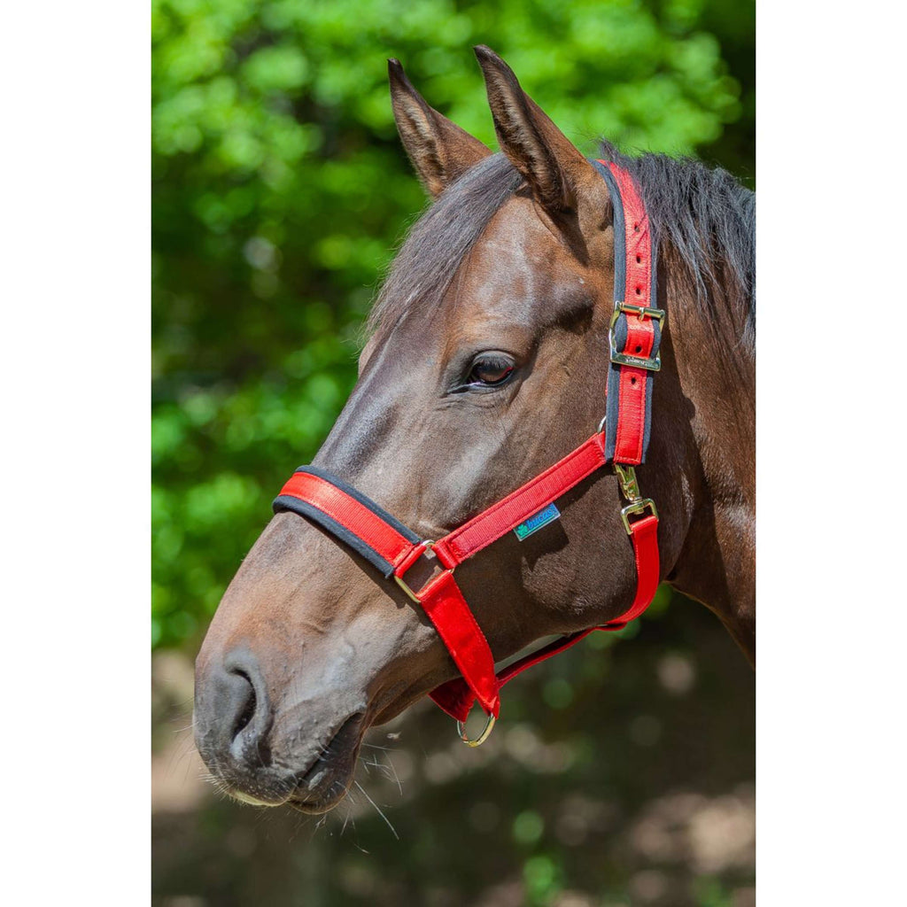 Bucas Halster Comfort Red/Black