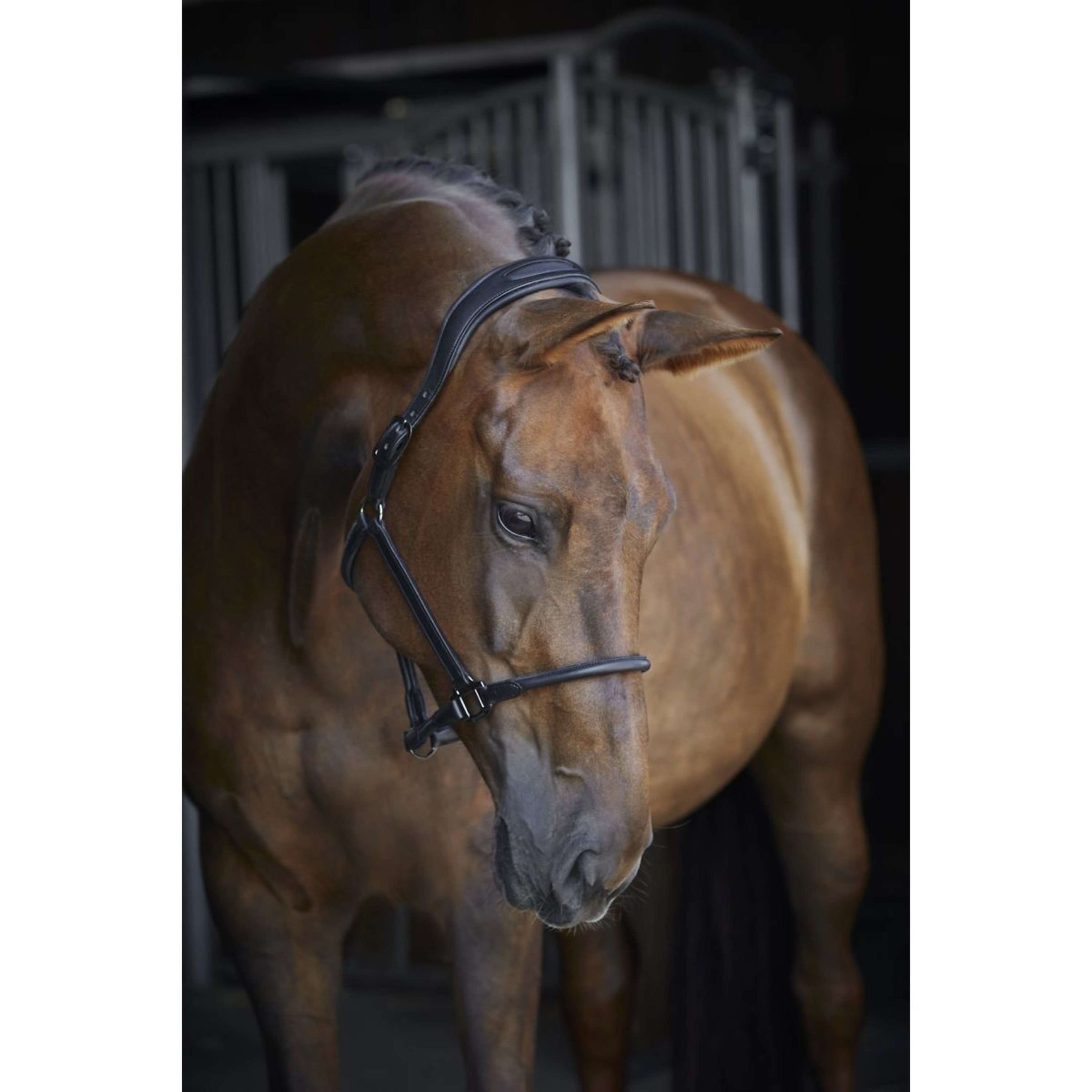 Catago Leren Halster Zwart Catago Leren Halster Zwart