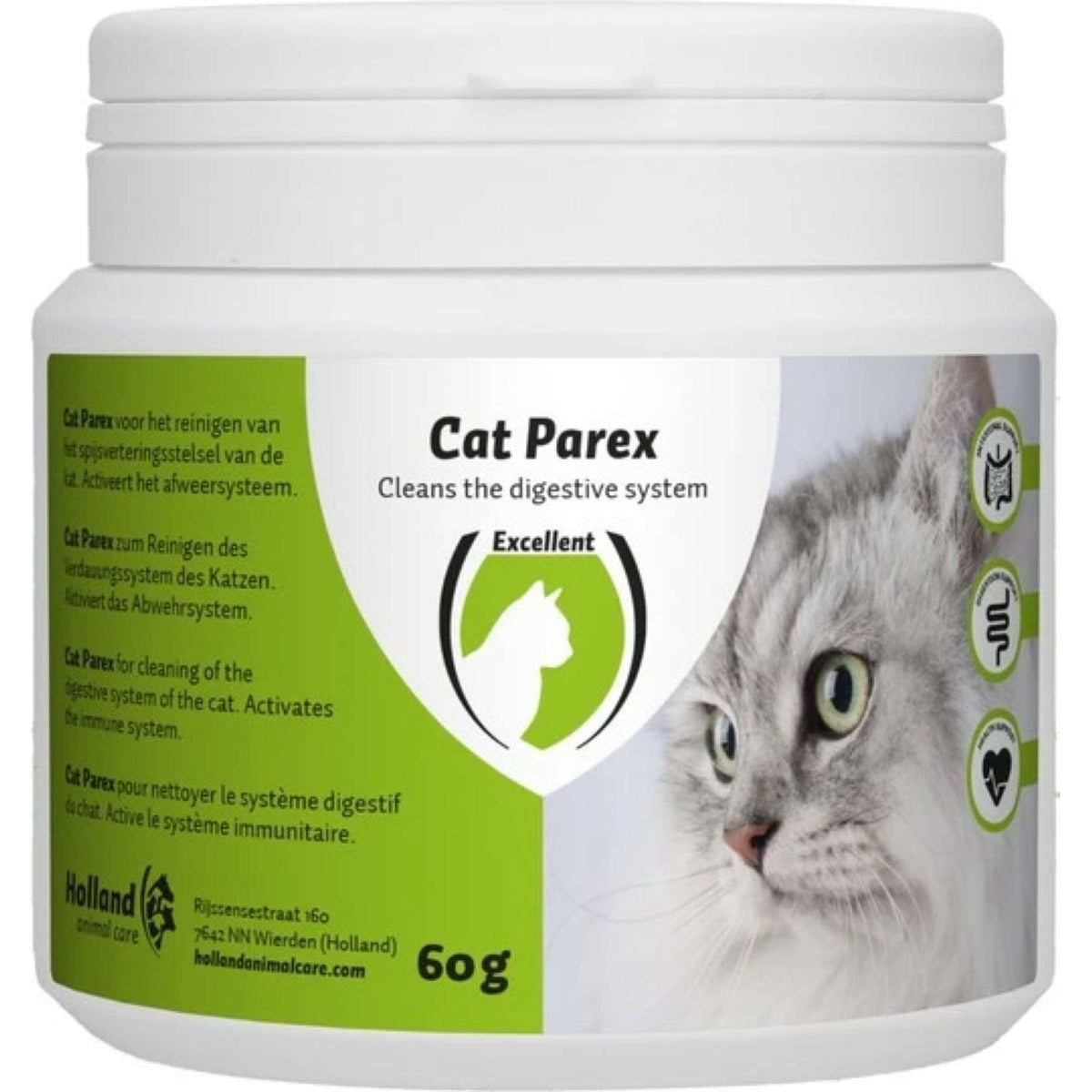 Excellent Cat Parex