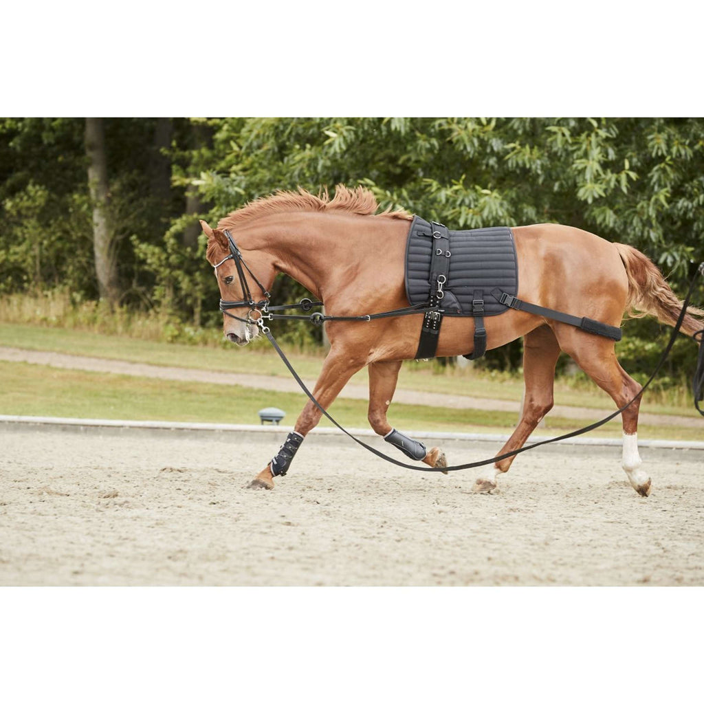Catago Zadeldekje Hybrid Training Dressuur Zwart