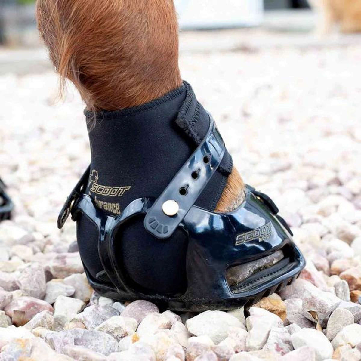 Scoot Boots Endurance Gaiter Zwart