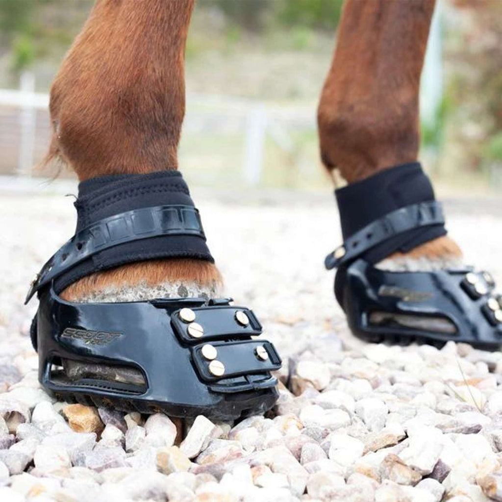 Scoot Boot Endurance Gaiter Zwart