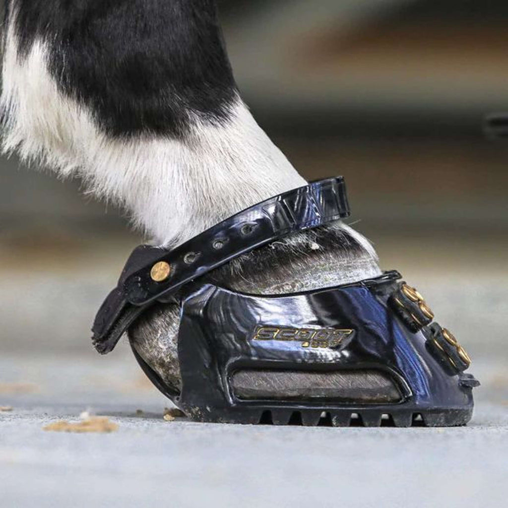Scoot Boot Hoefschoen Slim Single Zwart