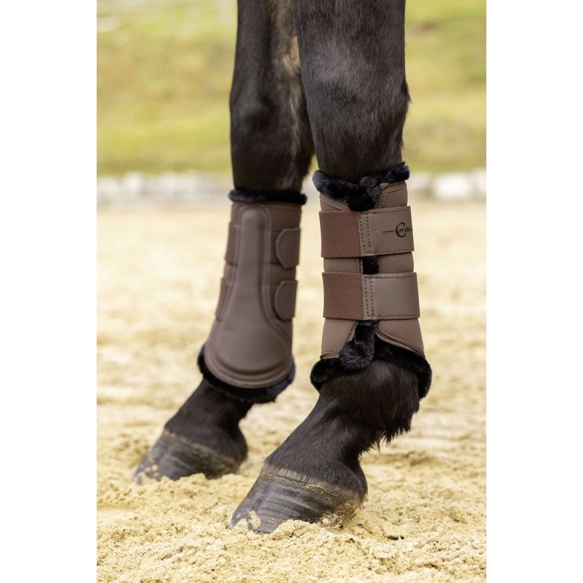 Covalliero Dressage Boots AW24 Coffee