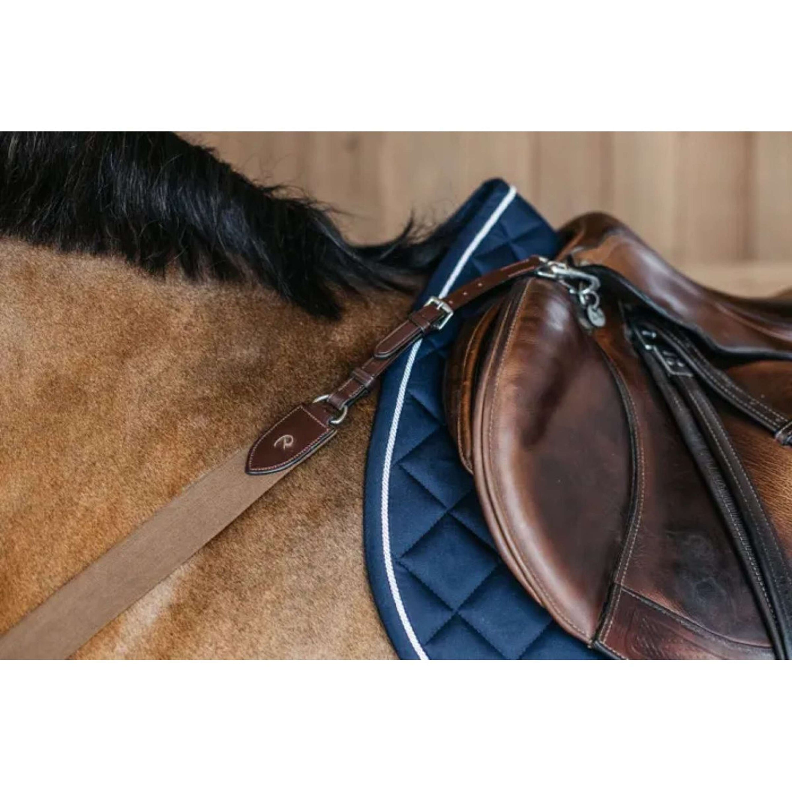 Dyon Borsttuig New English met Elastiek Bruin Dyon Borsttuig New English met Elastiek Bruin