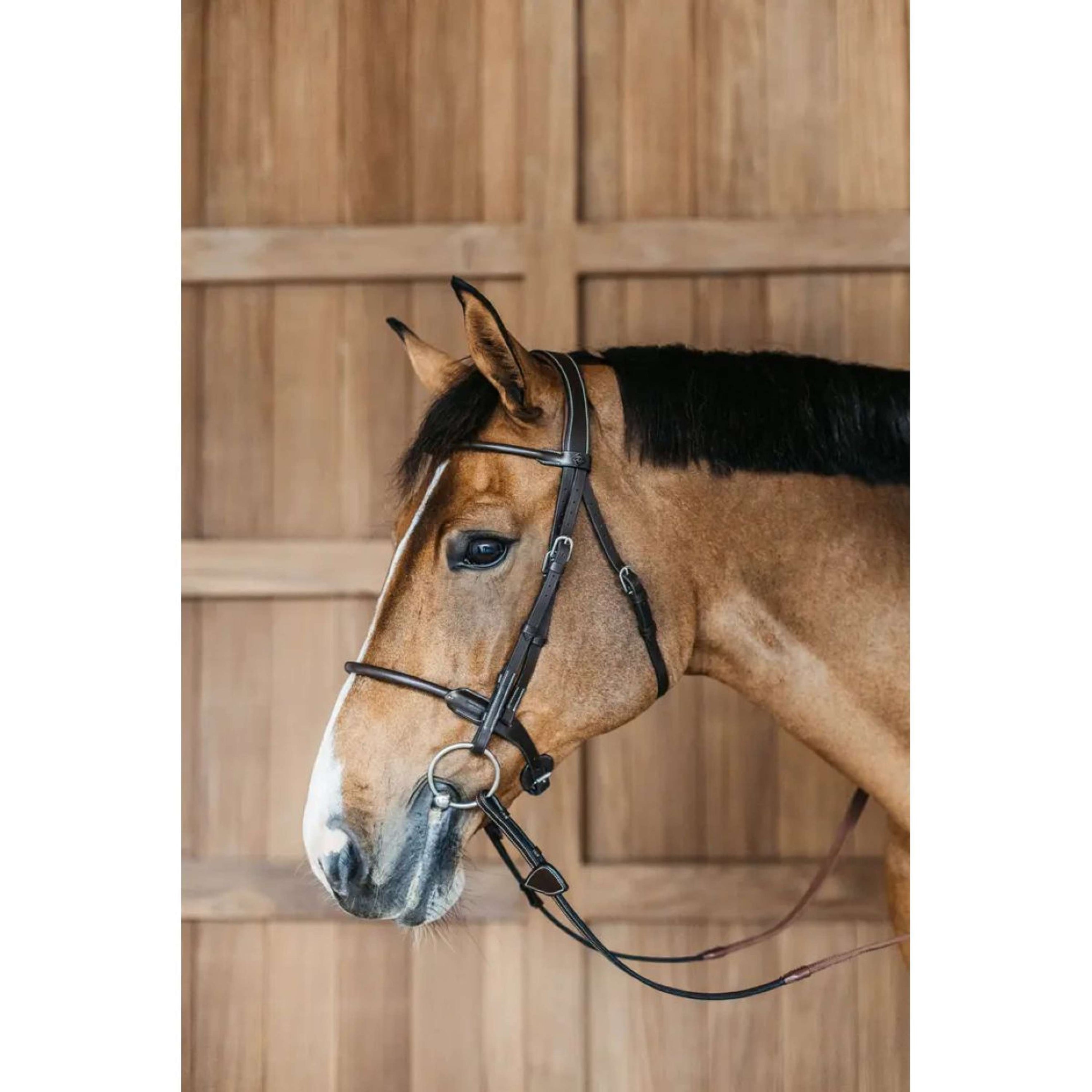 Dyon Hoofdstel Round Leather Bruin Dyon Hoofdstel Round Leather Bruin