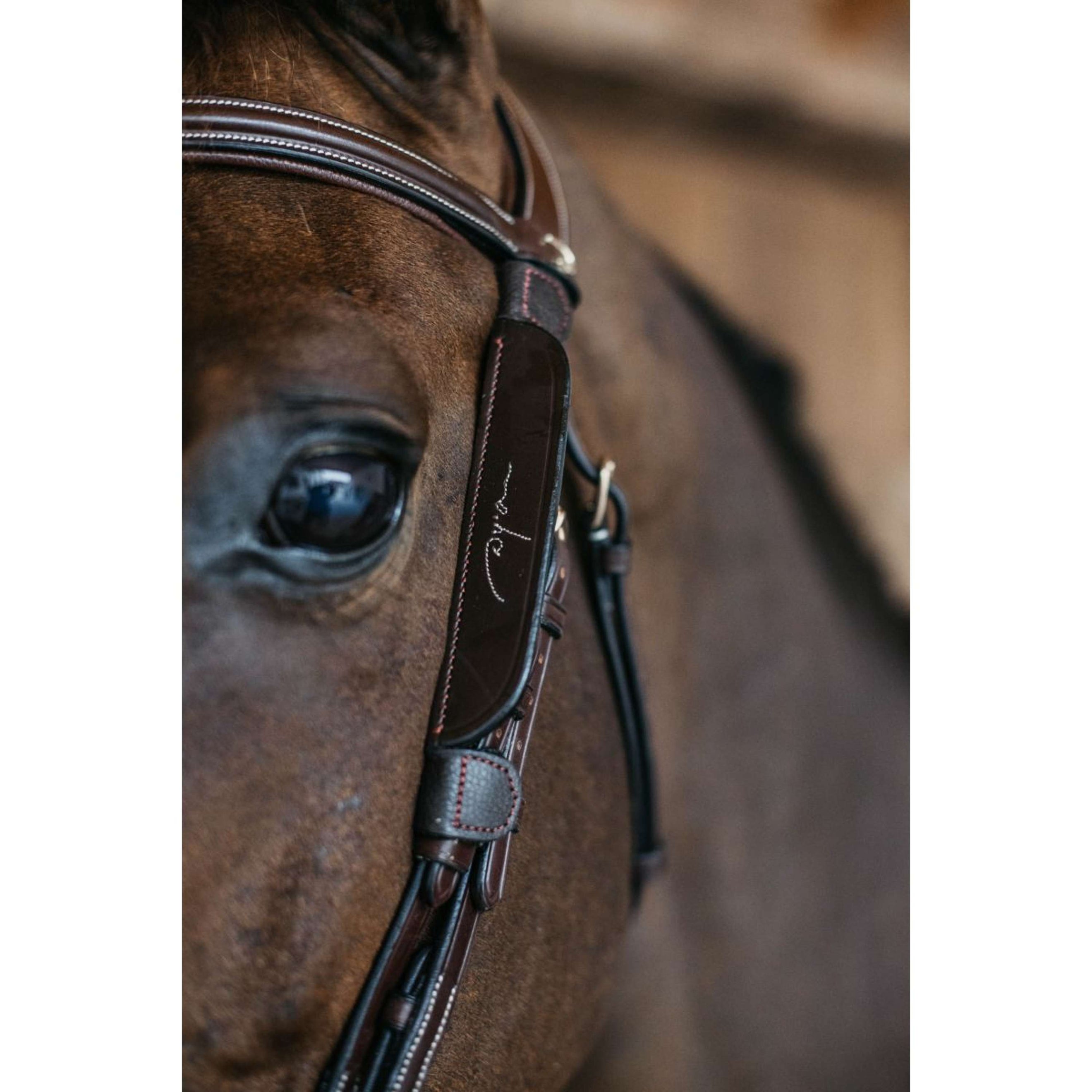 Dyon Blinkers Fancy Bruin