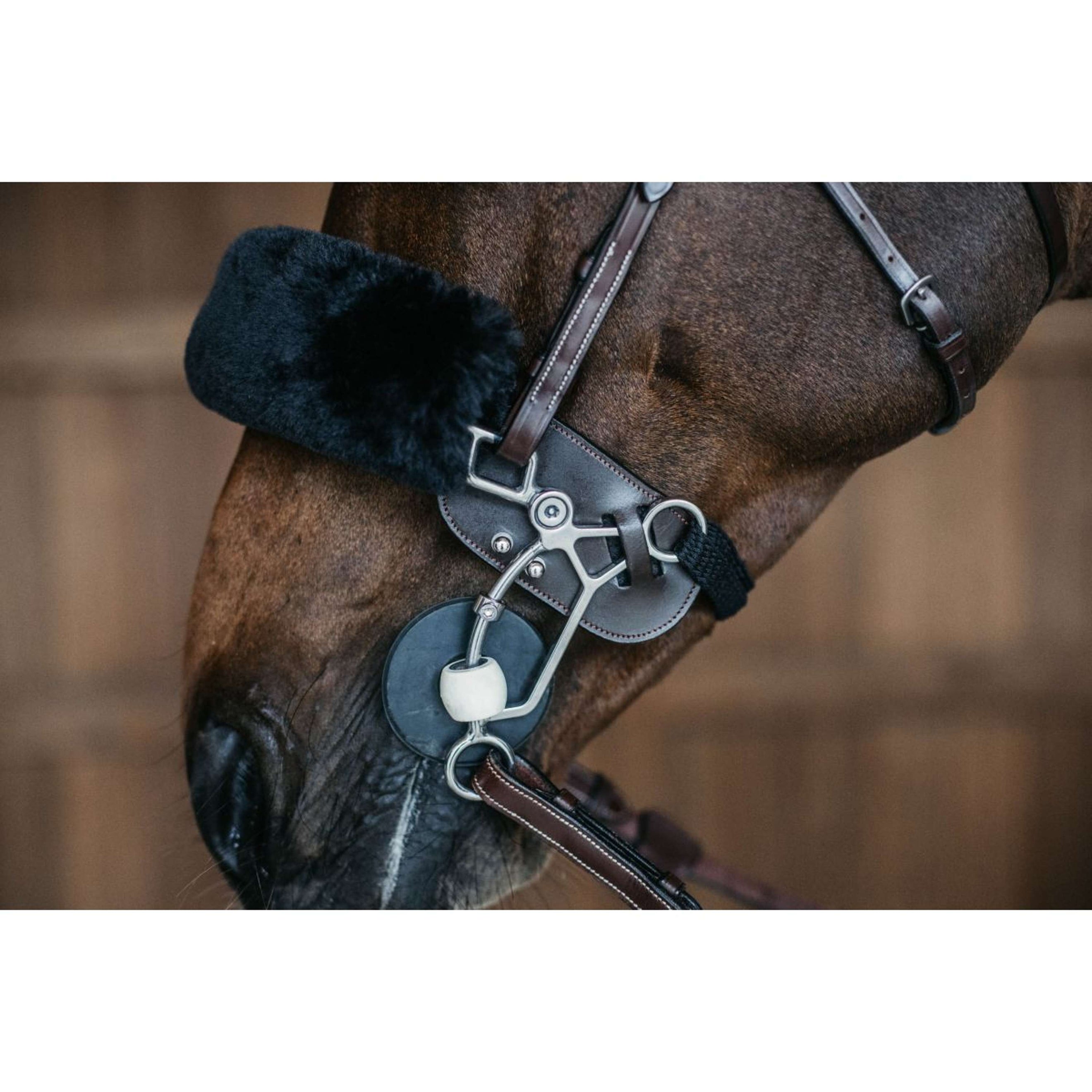 Dyon Hackamore Bescherming Bruin Dyon Hackamore Bescherming Bruin