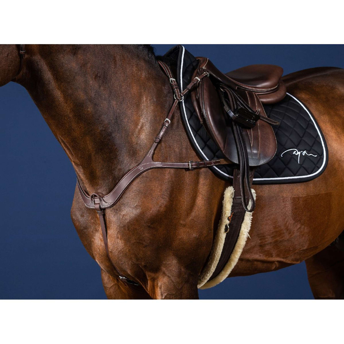 Dyon Borsttuig Anatomical Bruin/Zilver