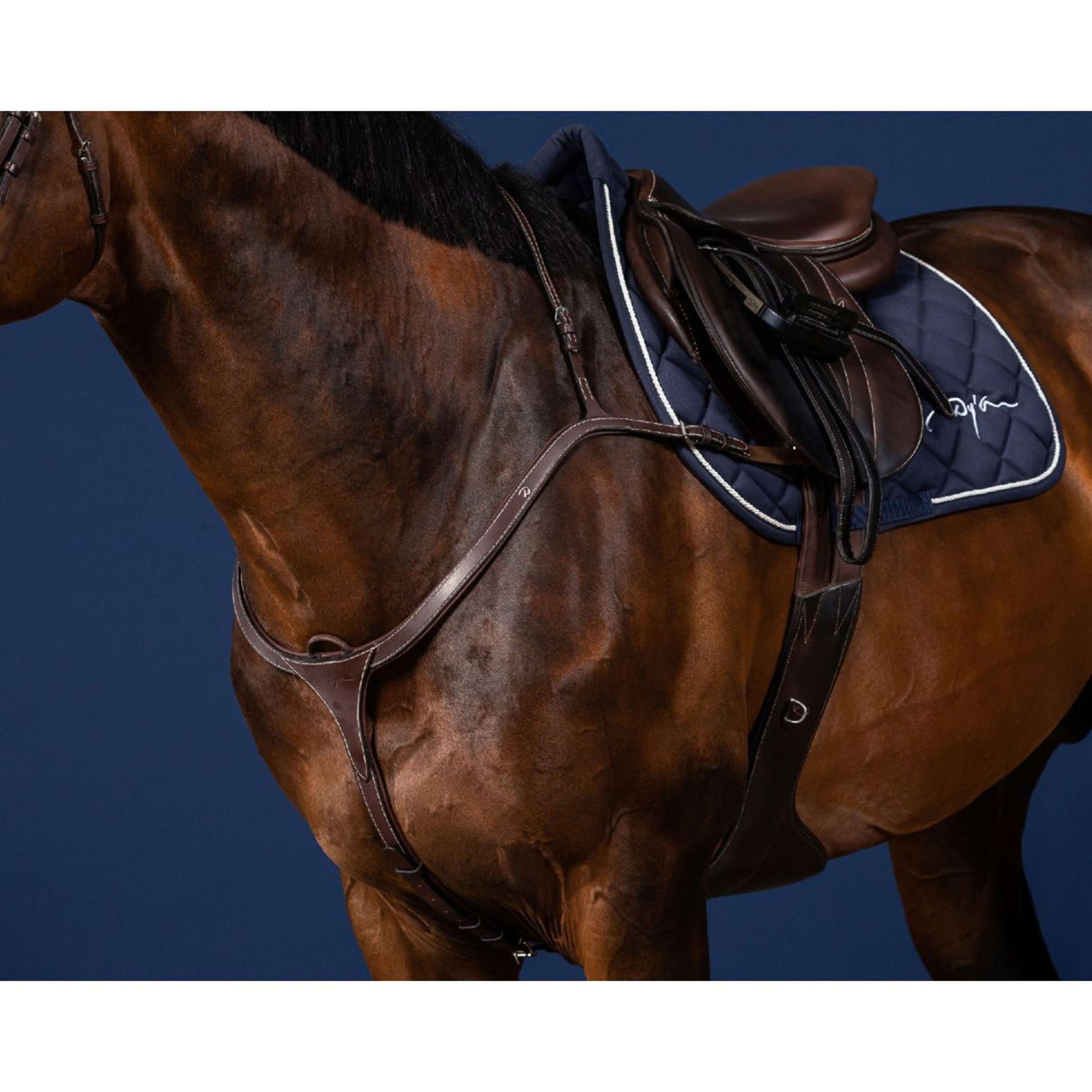 Dyon Borsttuig Long Bridge Bruin/Zilver