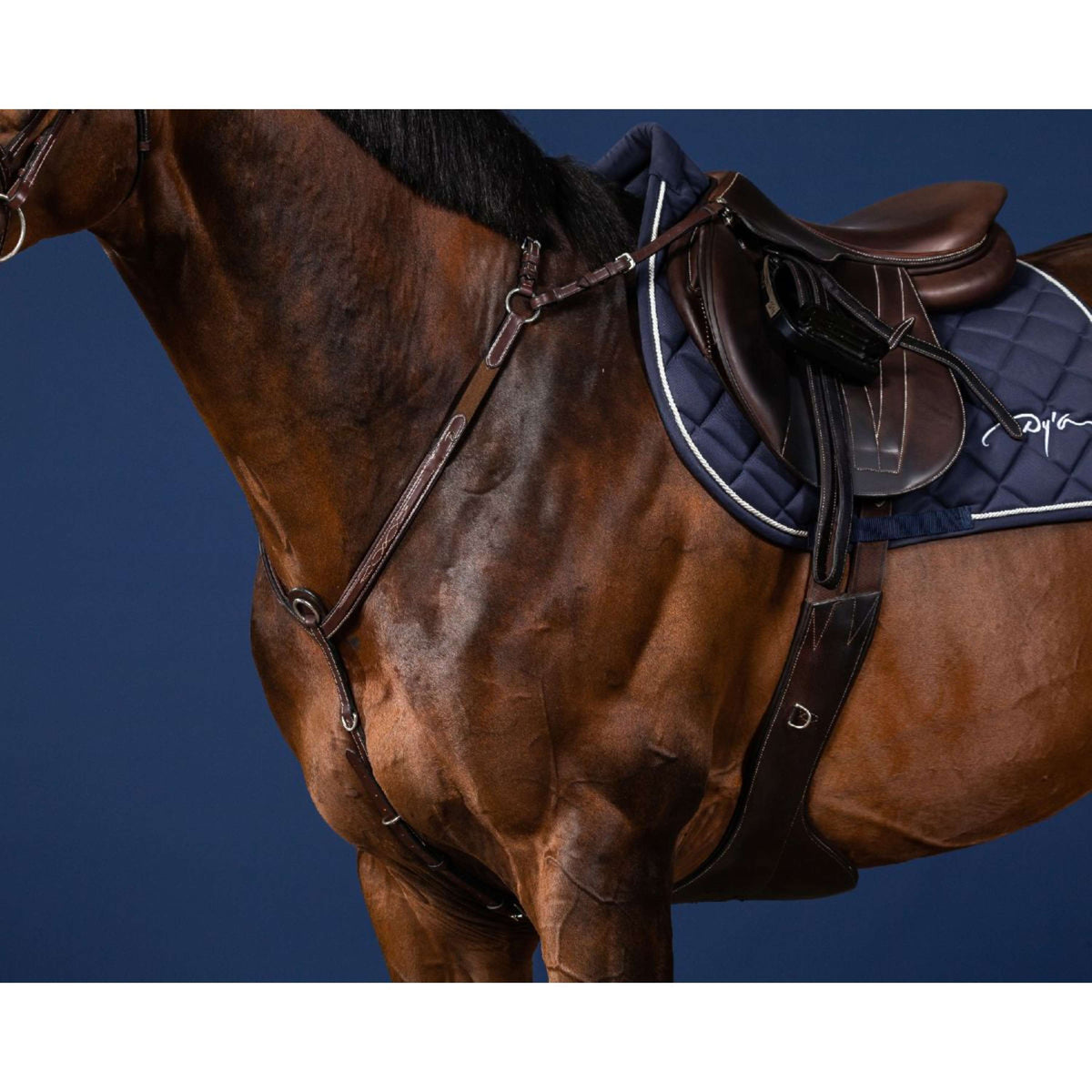 Dyon Borsttuig Bridge Bruin