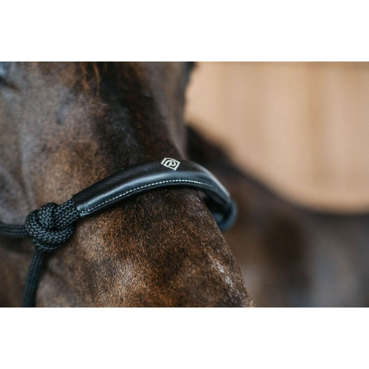 Dyon Trainingshalster Zwart