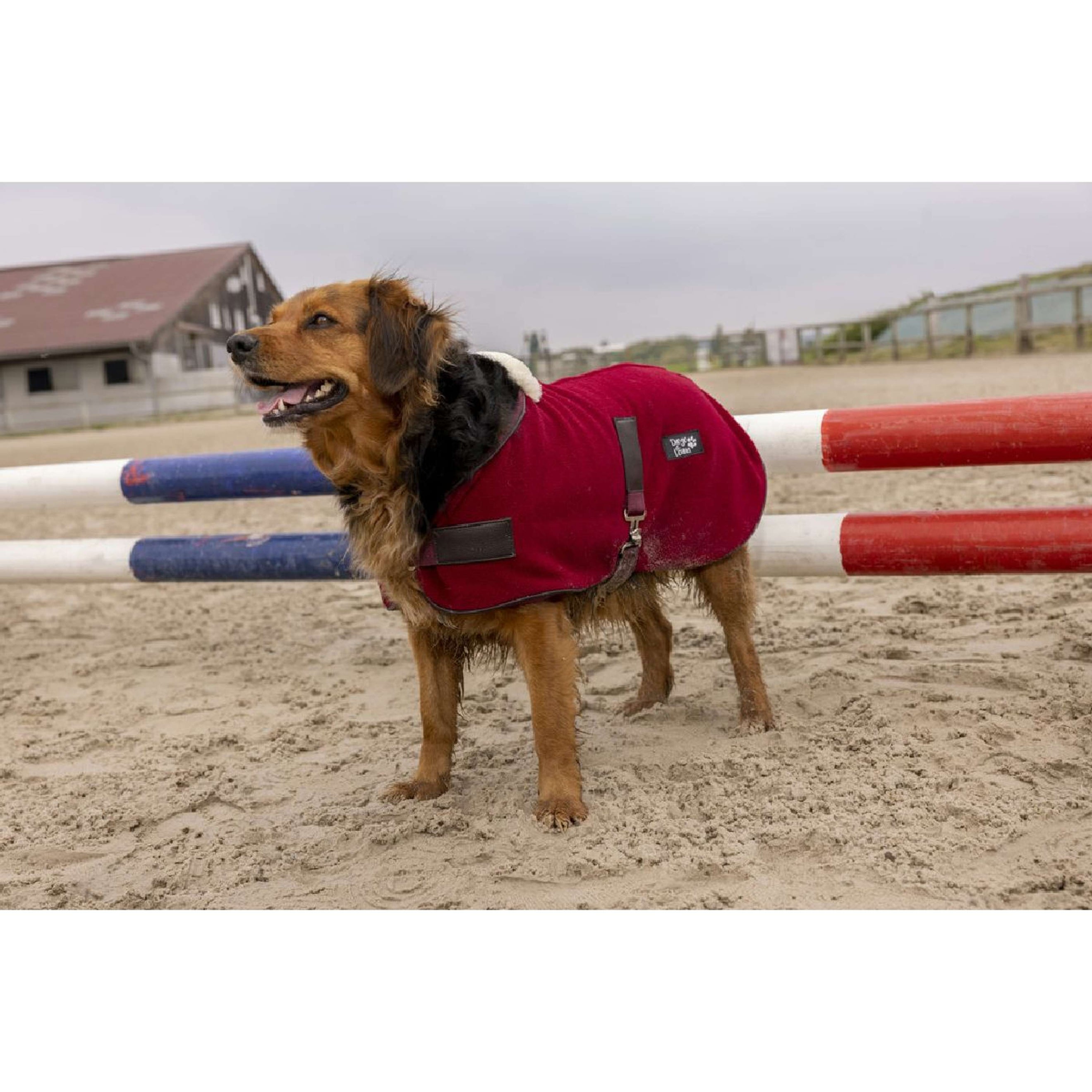 Diego & Louna Hondendeken Polar Bordeaux Diego & Louna Hondendeken Polar Bordeaux