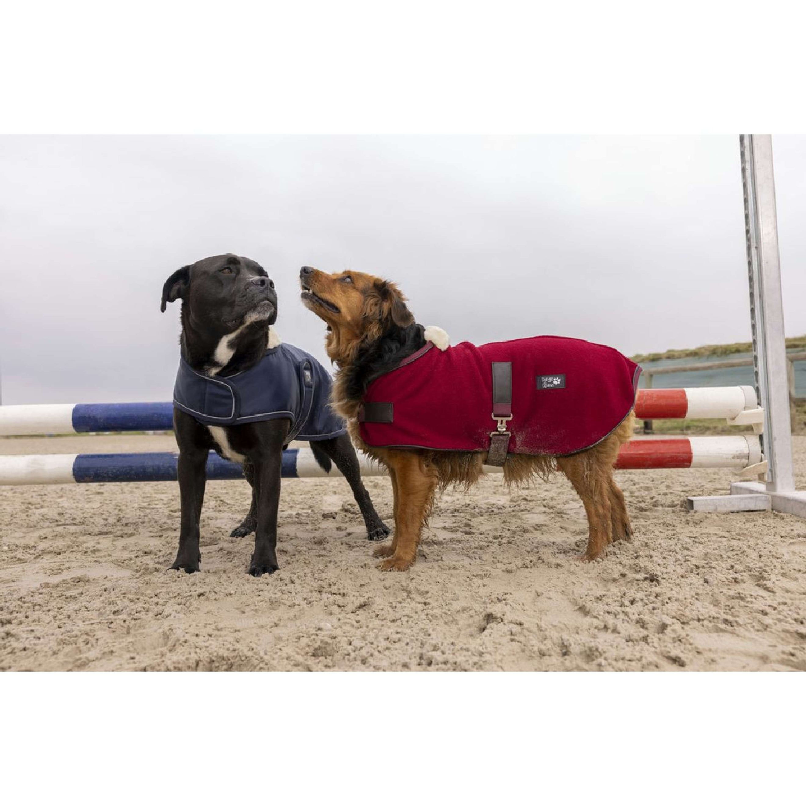 Diego & Louna Hondendeken Polar Navy Diego & Louna Hondendeken Polar Navy